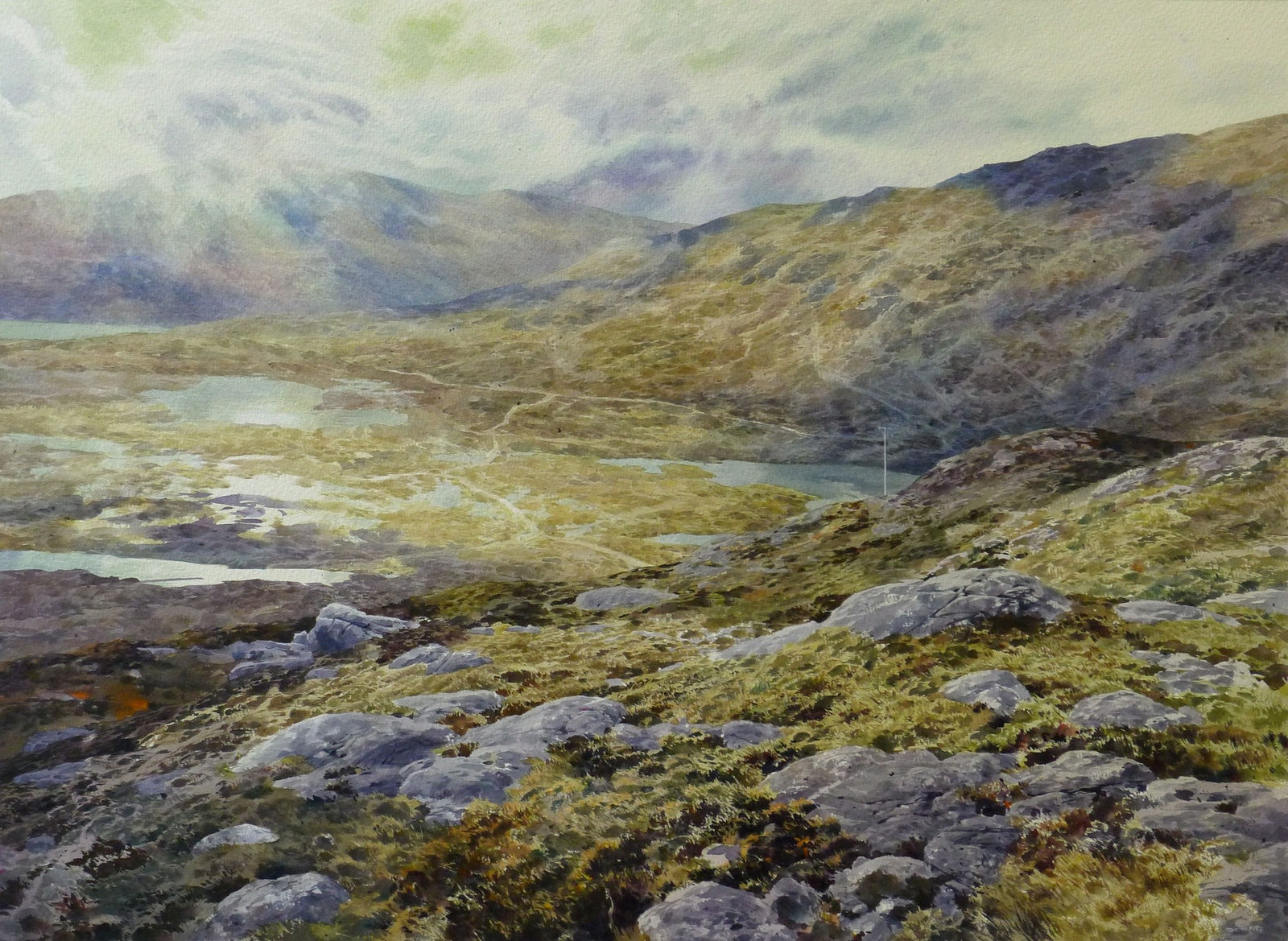 David Forster, They came to a hill which was all of gold (Harris), 2014