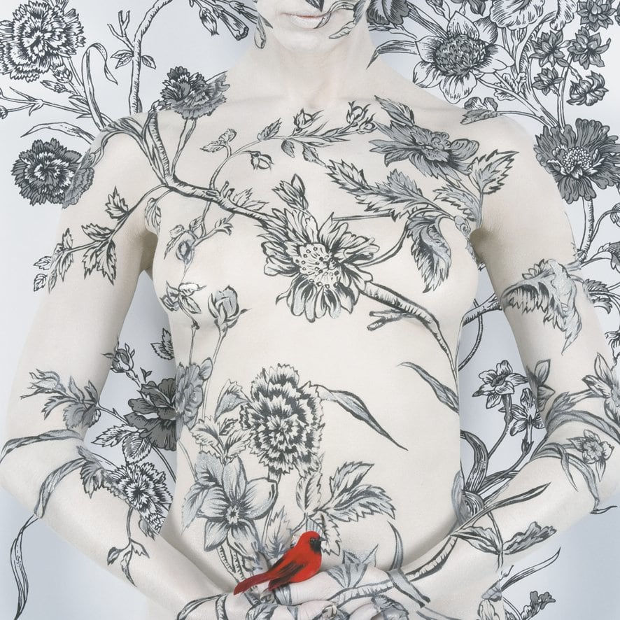 Emma Hack, Red Bird III, 2012