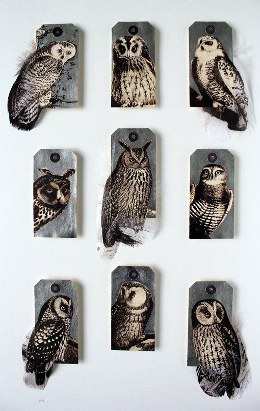 Rebecca Jewell, Silver Owls, 2013