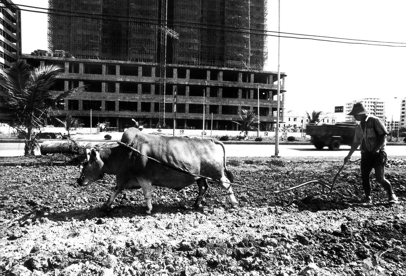 Unknown Artist, Untitled, 1989