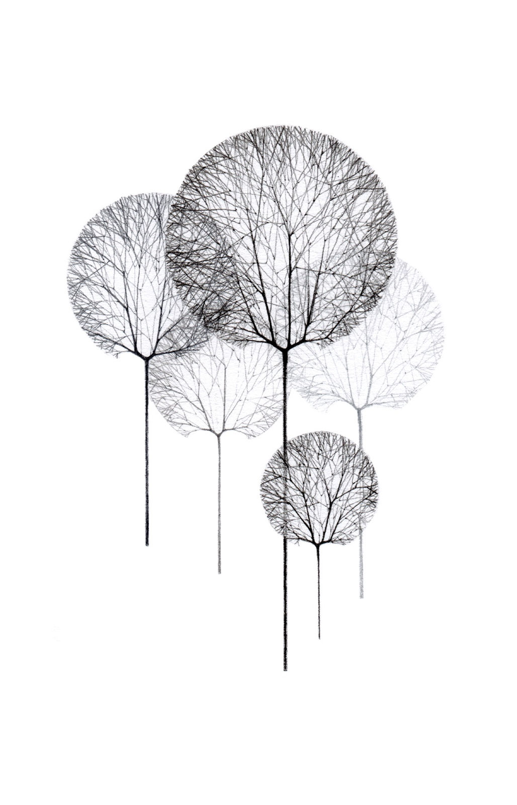 Jackie Case, Line Trees, 2014