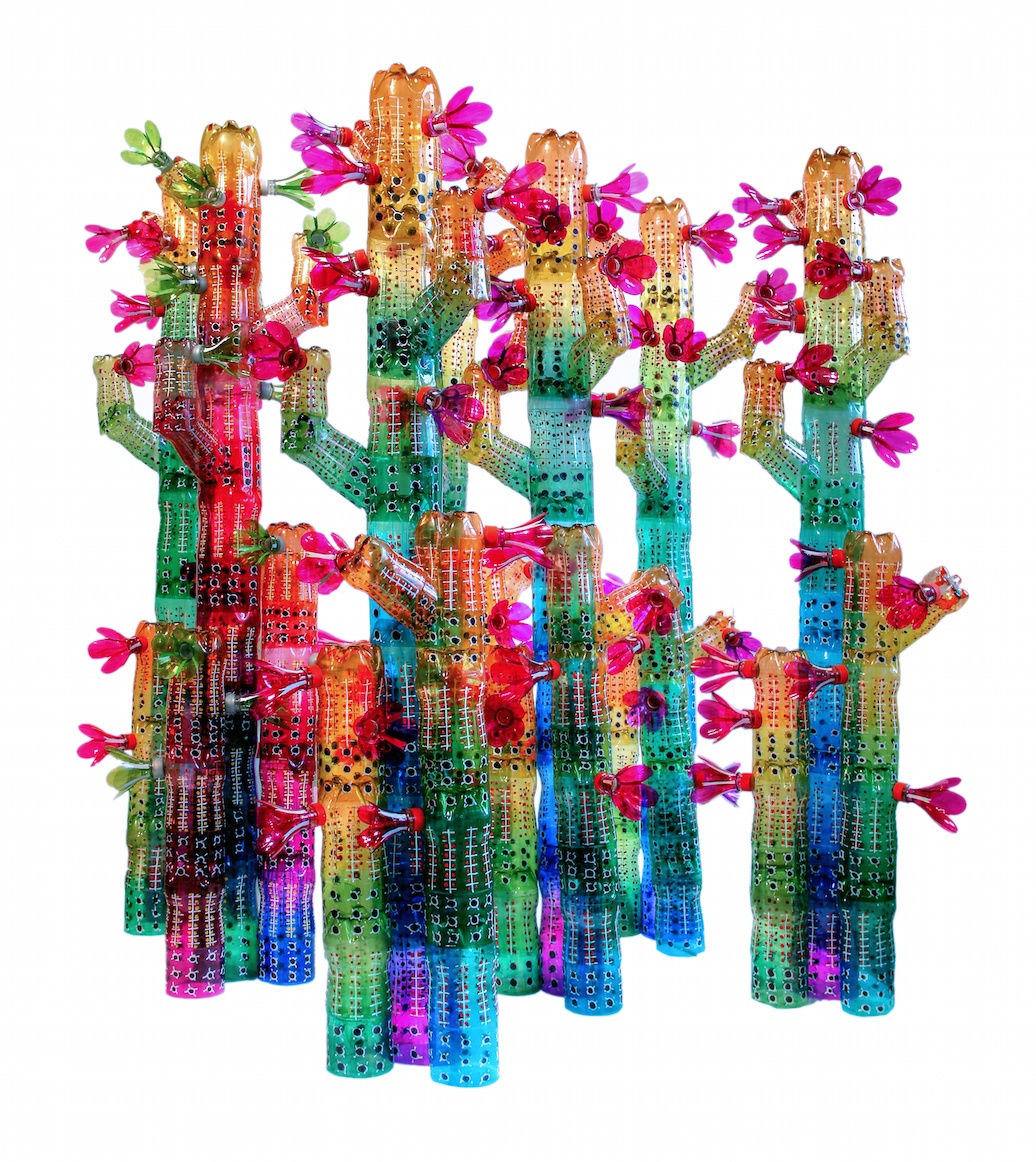 Edgardo Rodriguez, Cactus Family, 2014