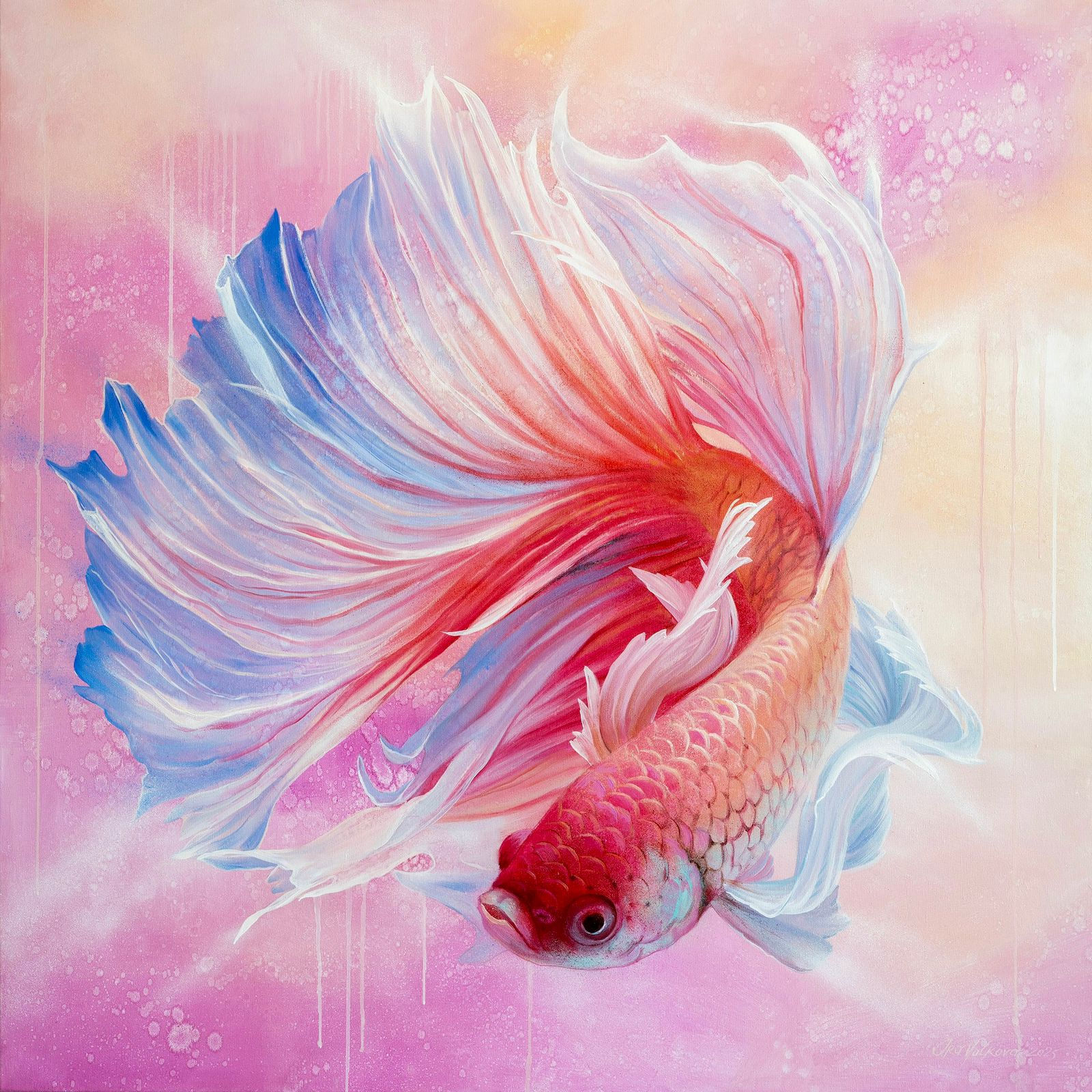 Ira Volkova, Betta Fish #1