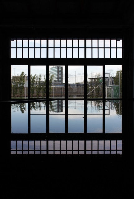 Linus Rauch, Narcissus, 2024