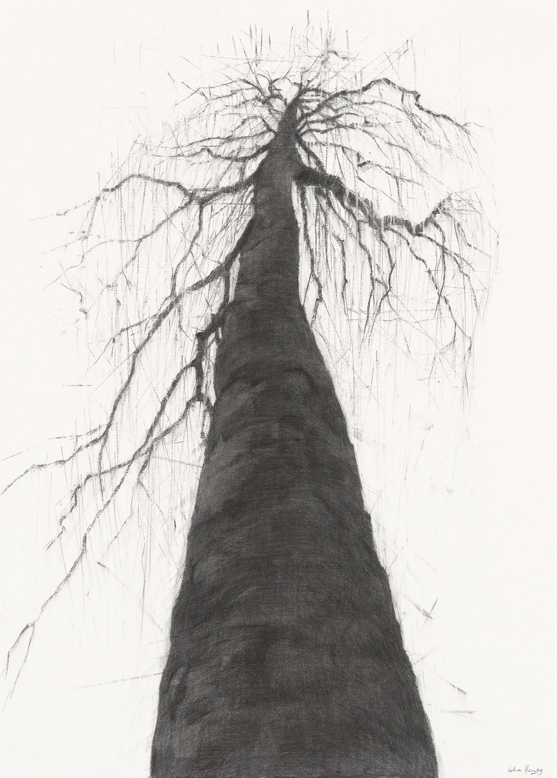 Lelia Henry, Bé Chuille, 2024