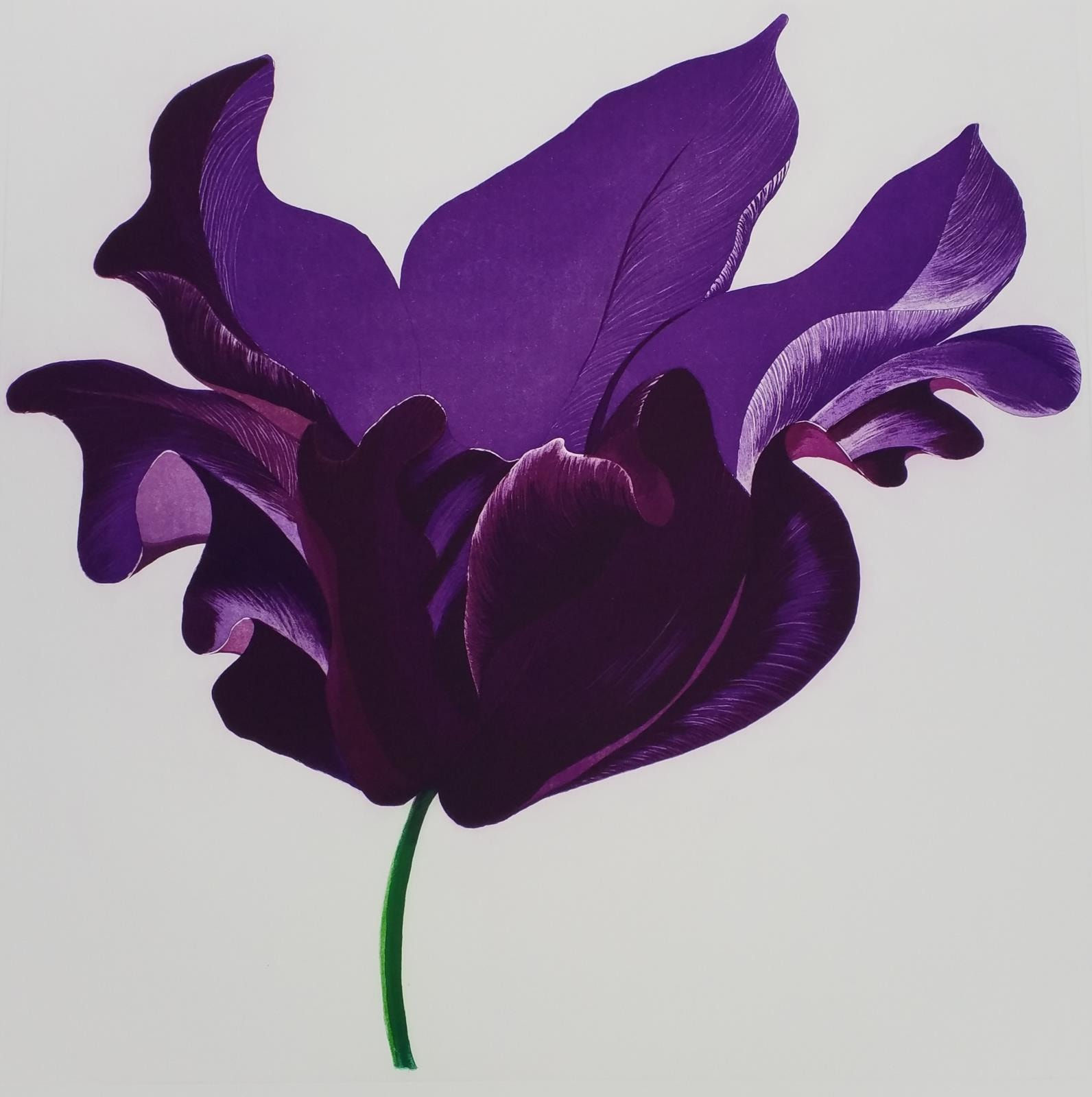 Gráinne Cuffe, - A Night.....