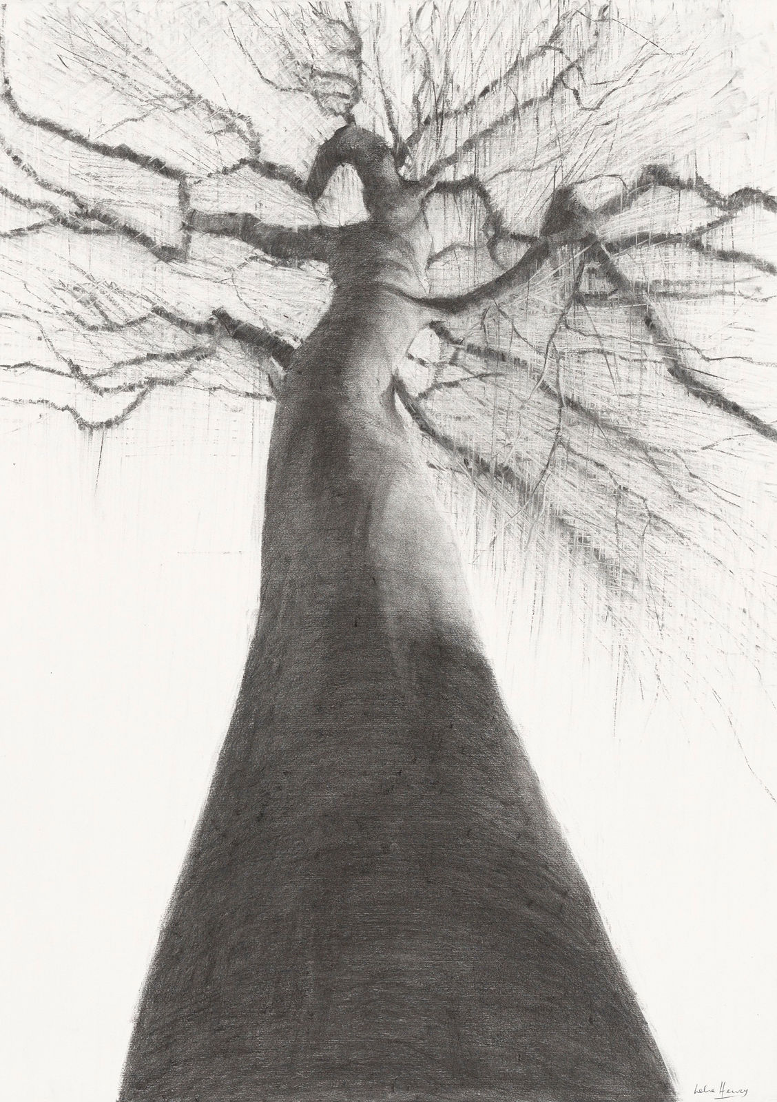 Lelia Henry, Tlachtga, 2024