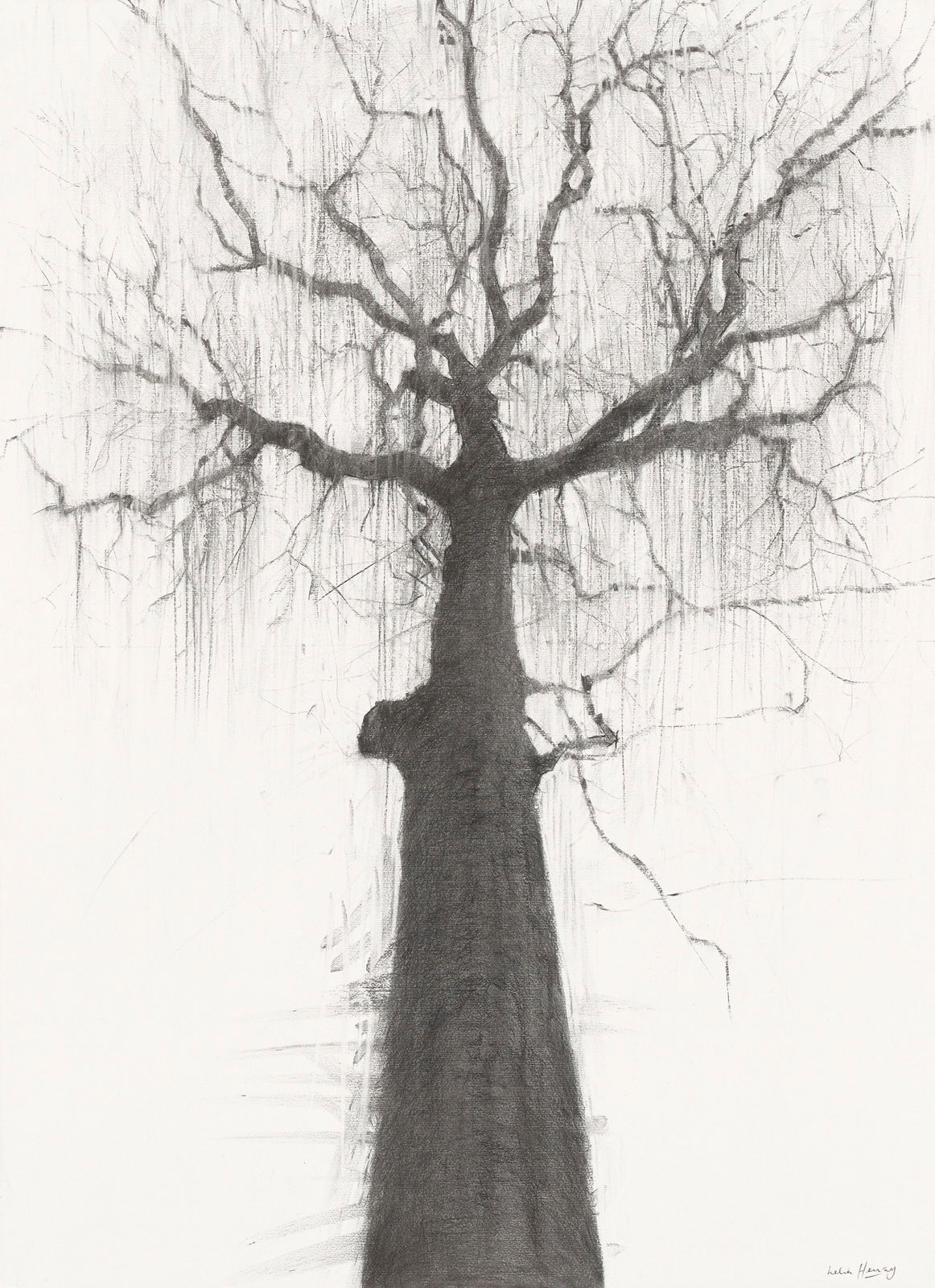 Lelia Henry, Boann, 2025