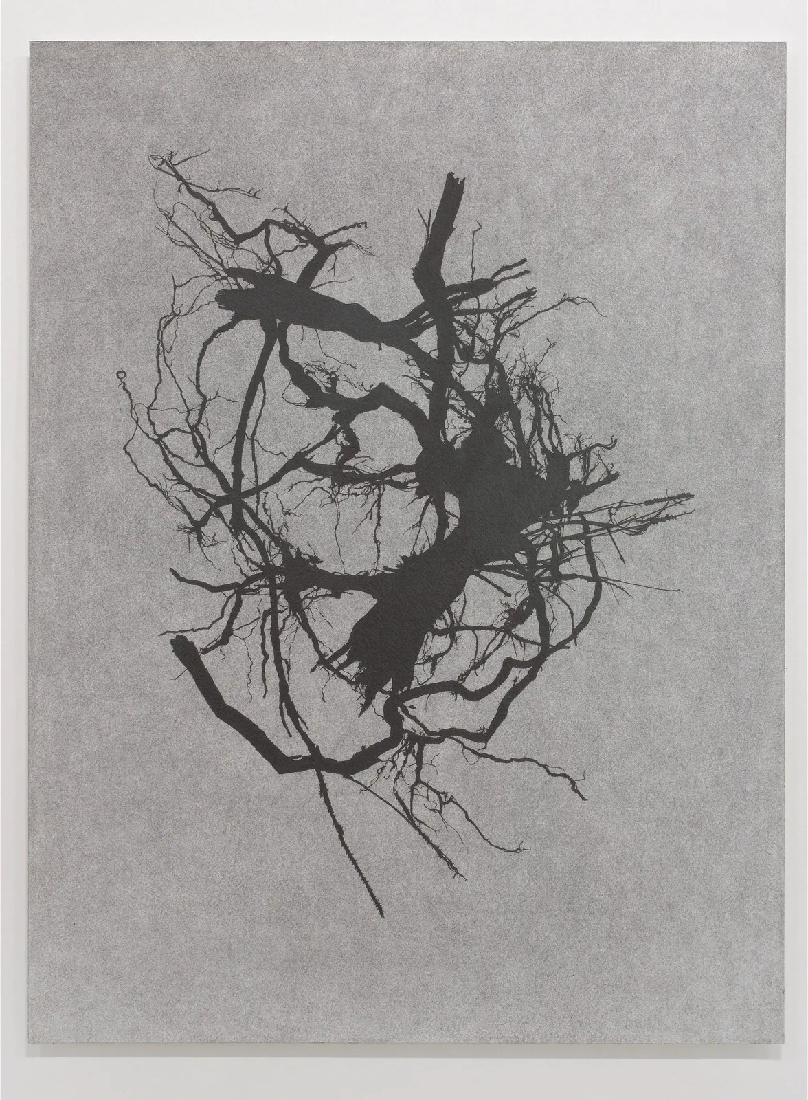 Magnhild Opdøl, This is not a season, 2025