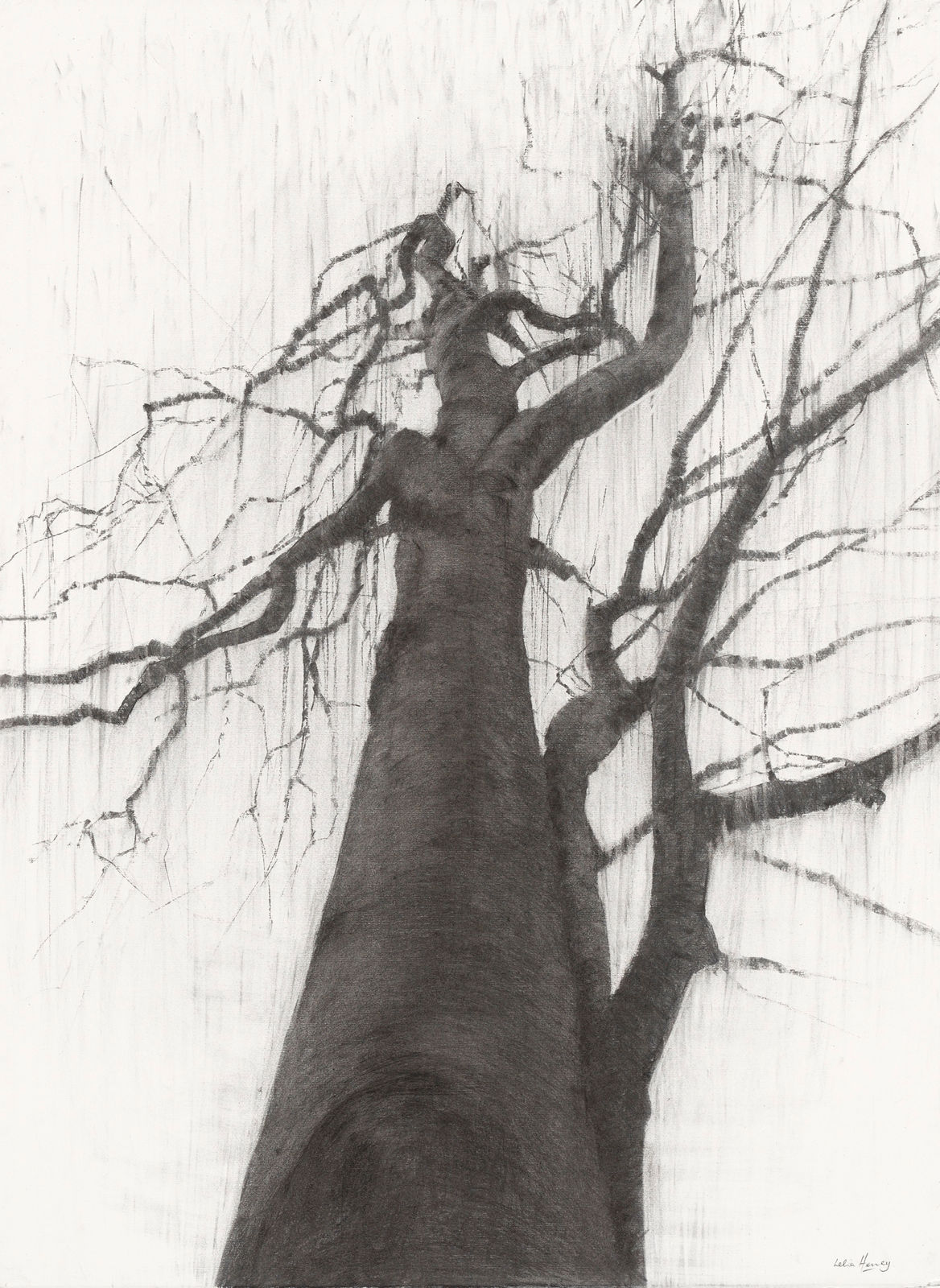 Lelia Henry, Mebh, 2024