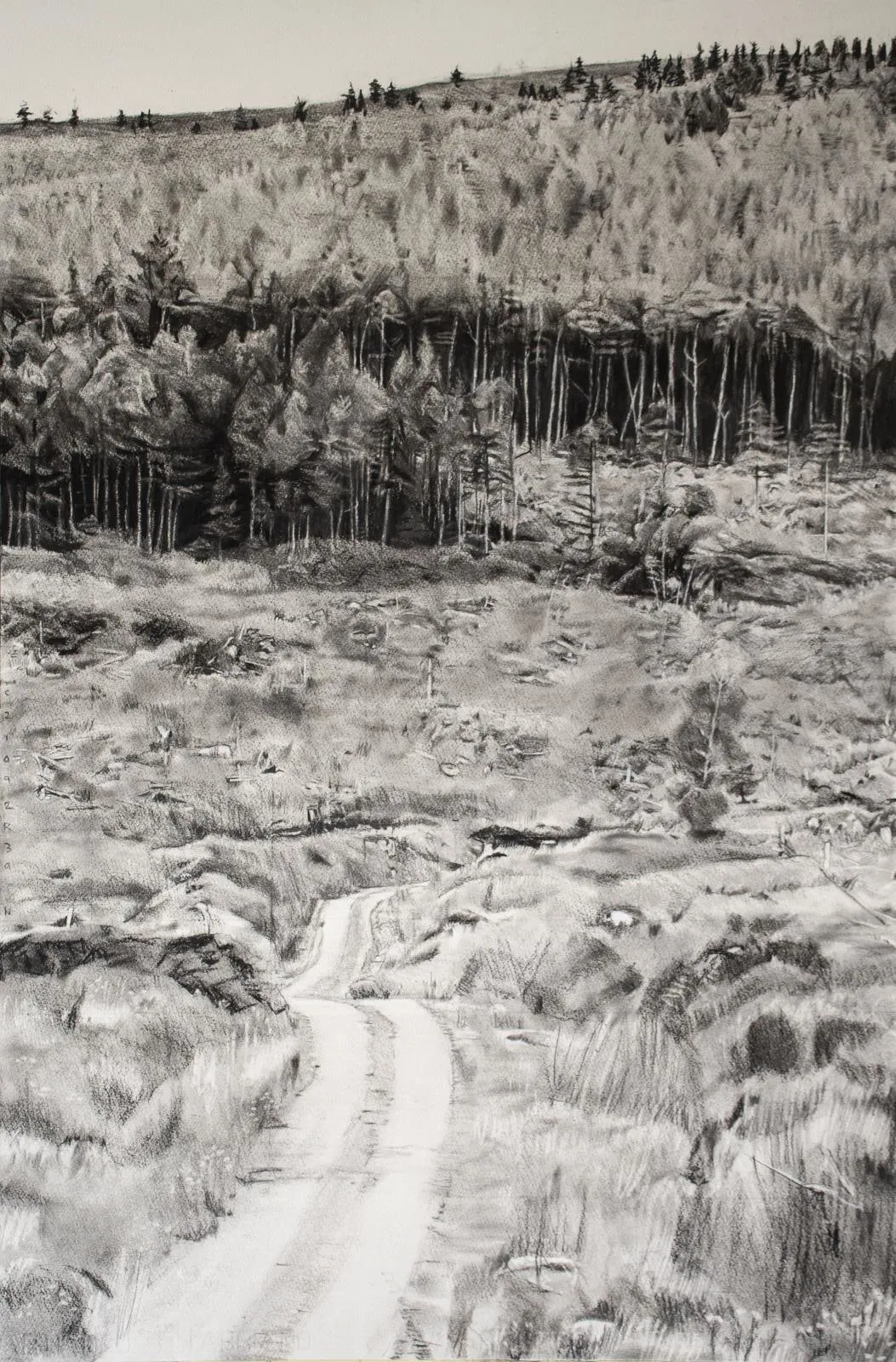 Ciaran Taylor, Where the raven finds her mate