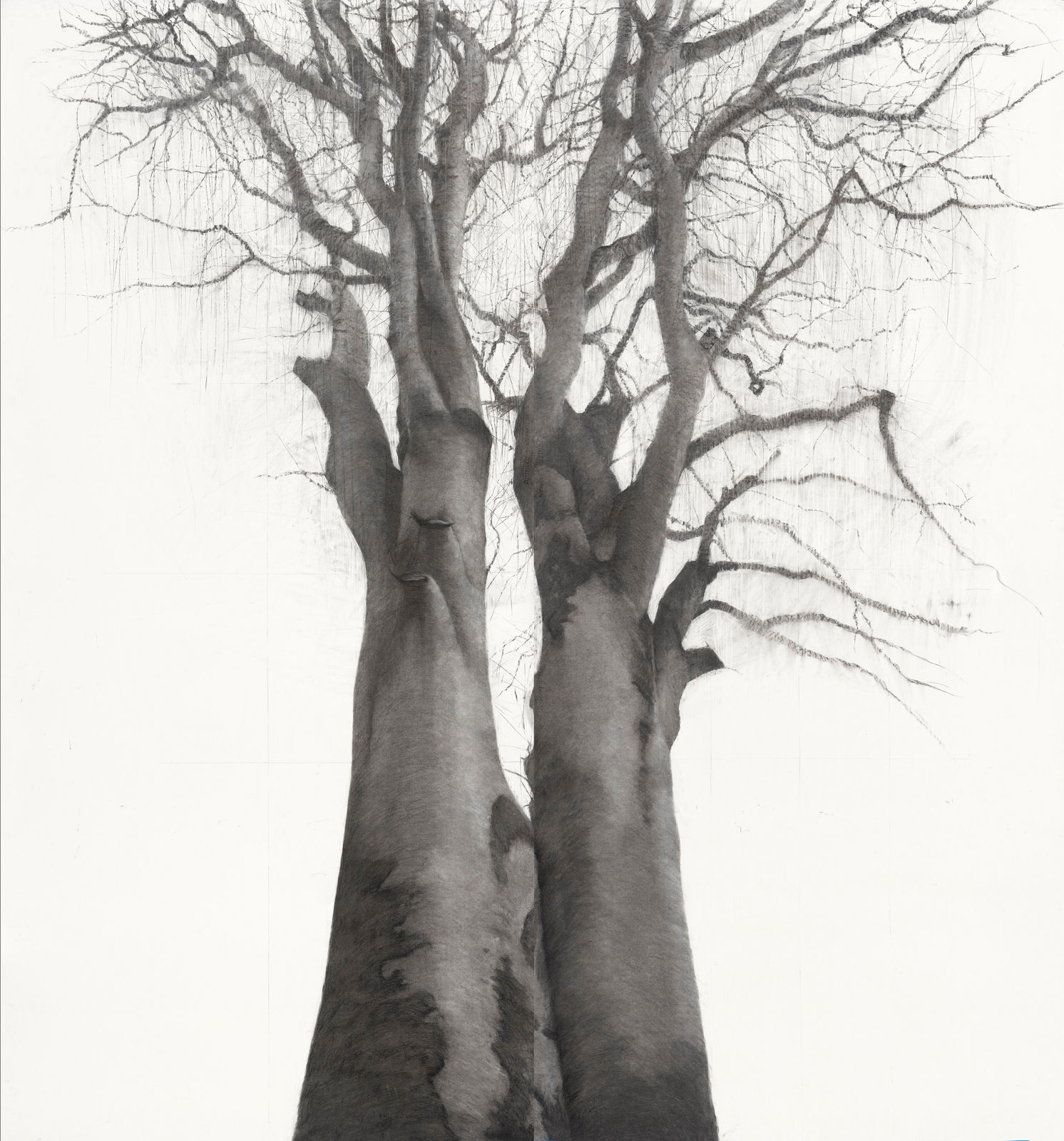 Lelia Henry, Merrows, 2025