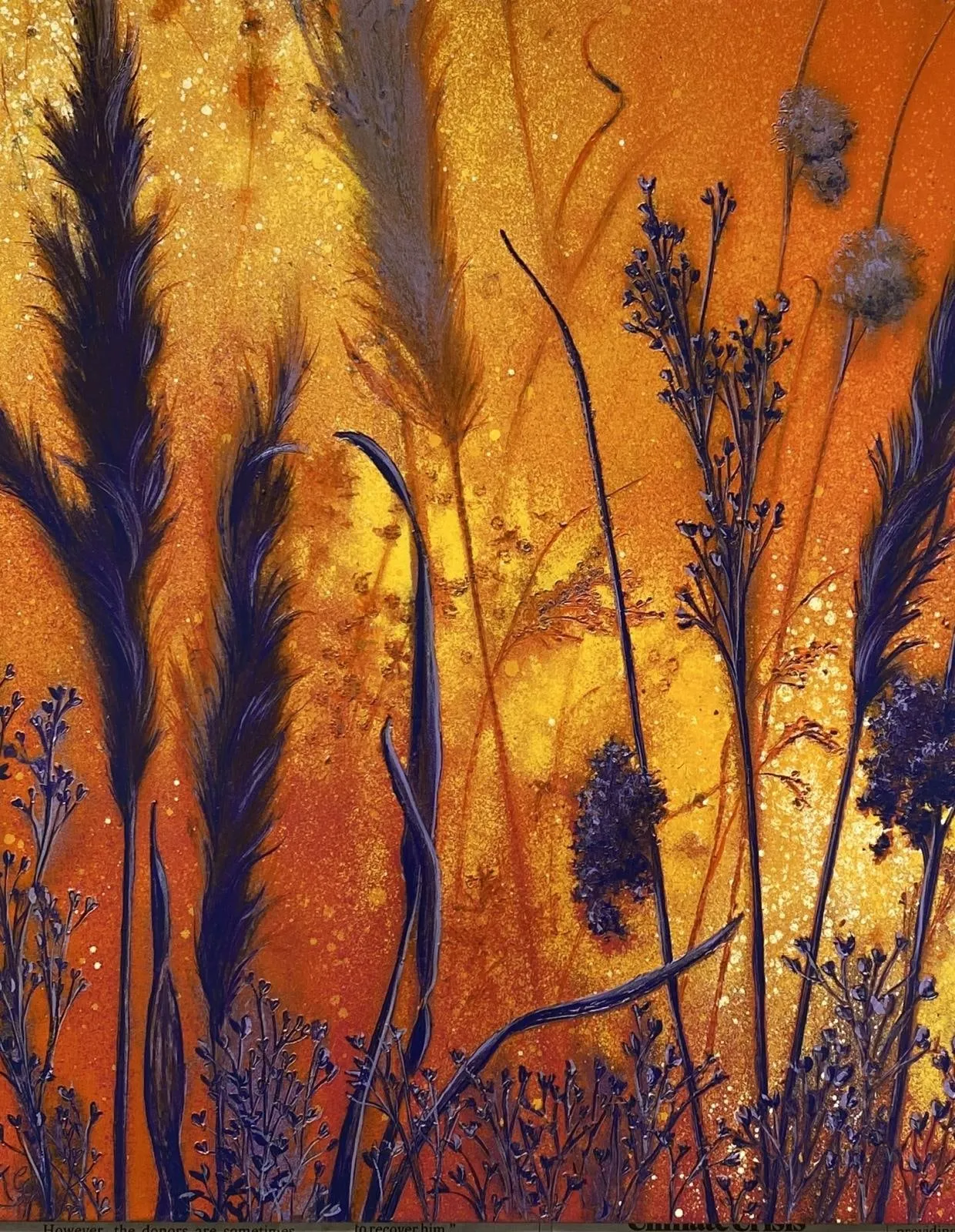 Kathrine Geoghegan, Daybreak, Pollardstown Fen