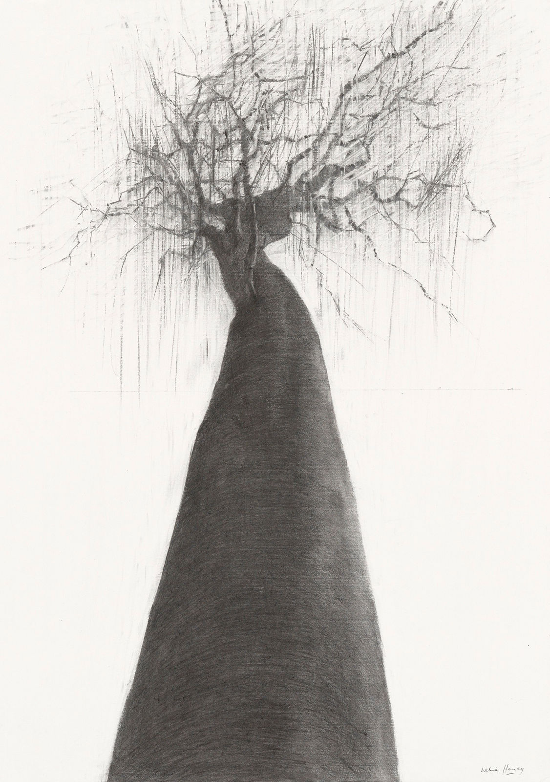 Lelia Henry, Mugain, 2025