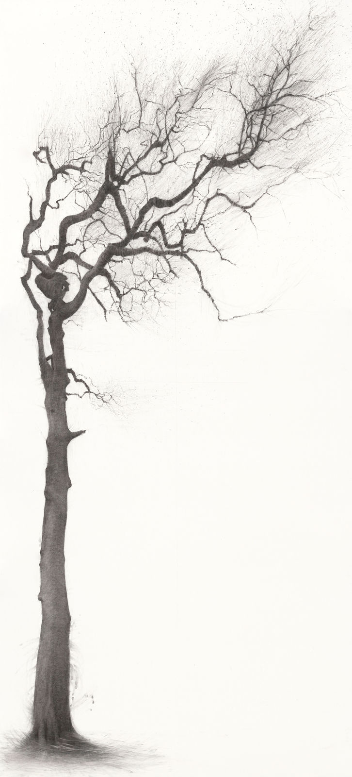 Lelia Henry, Danú, 2025