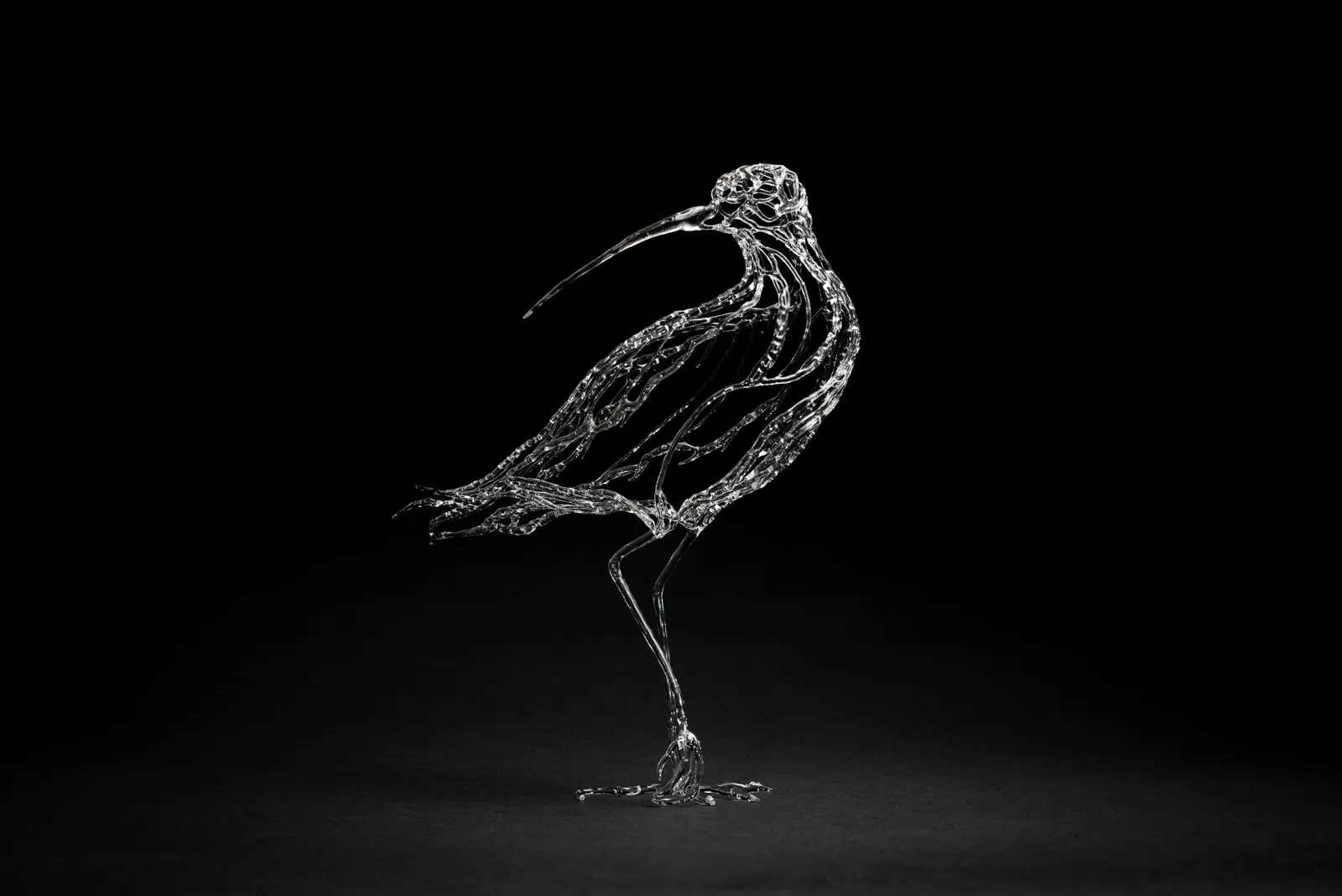 Katie Spiers, Fading Call of the Curlew