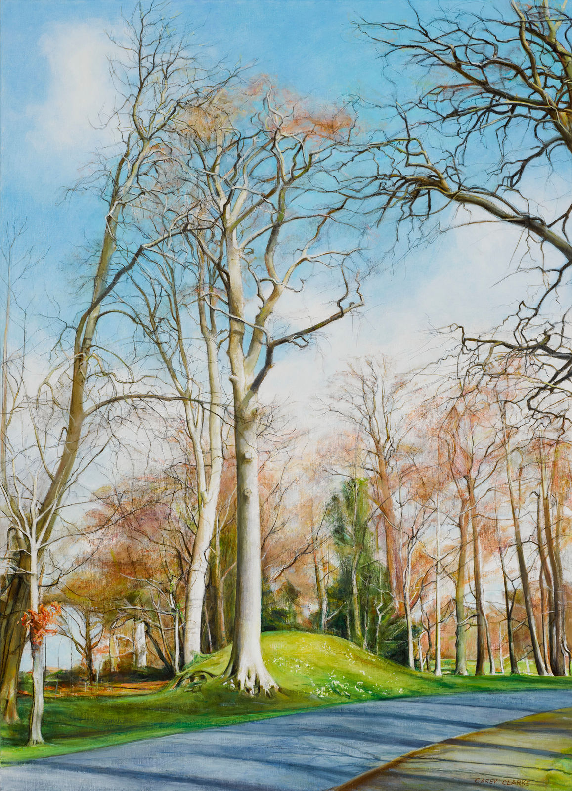Carey Clarke PPRHA, Beech Trees, Powerscourt