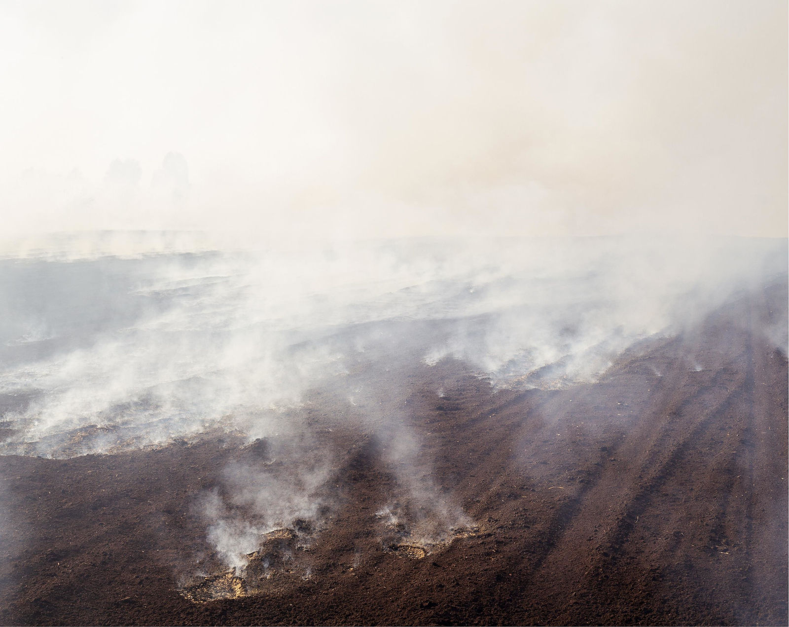 Shane Hynan, Smoke from bog fire #2, from the miniseries 'Bealtaine' within 'Beneath | Beofhód' (2018-2024), 2020