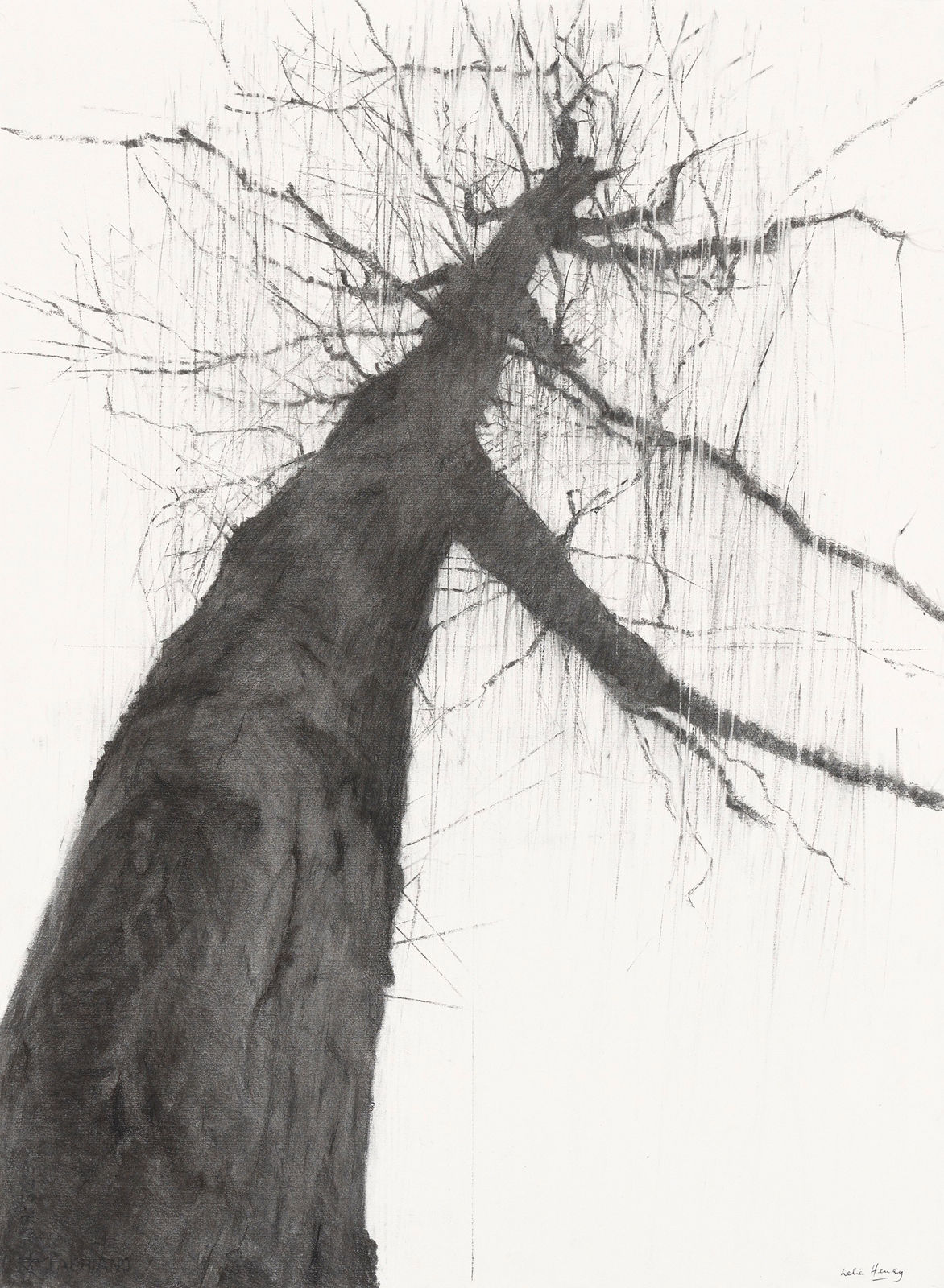 Lelia Henry, Fuamnach, 2024