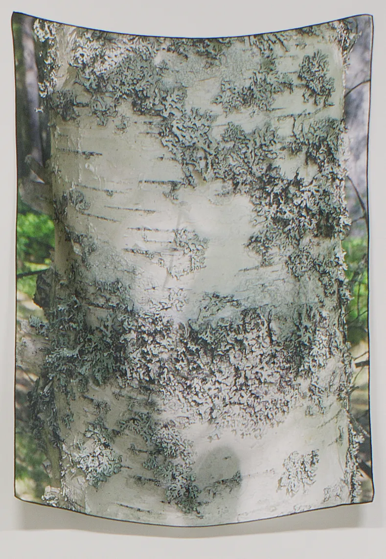 Magnhild Opdøl, 5_Trying to hold on so hard, 2024