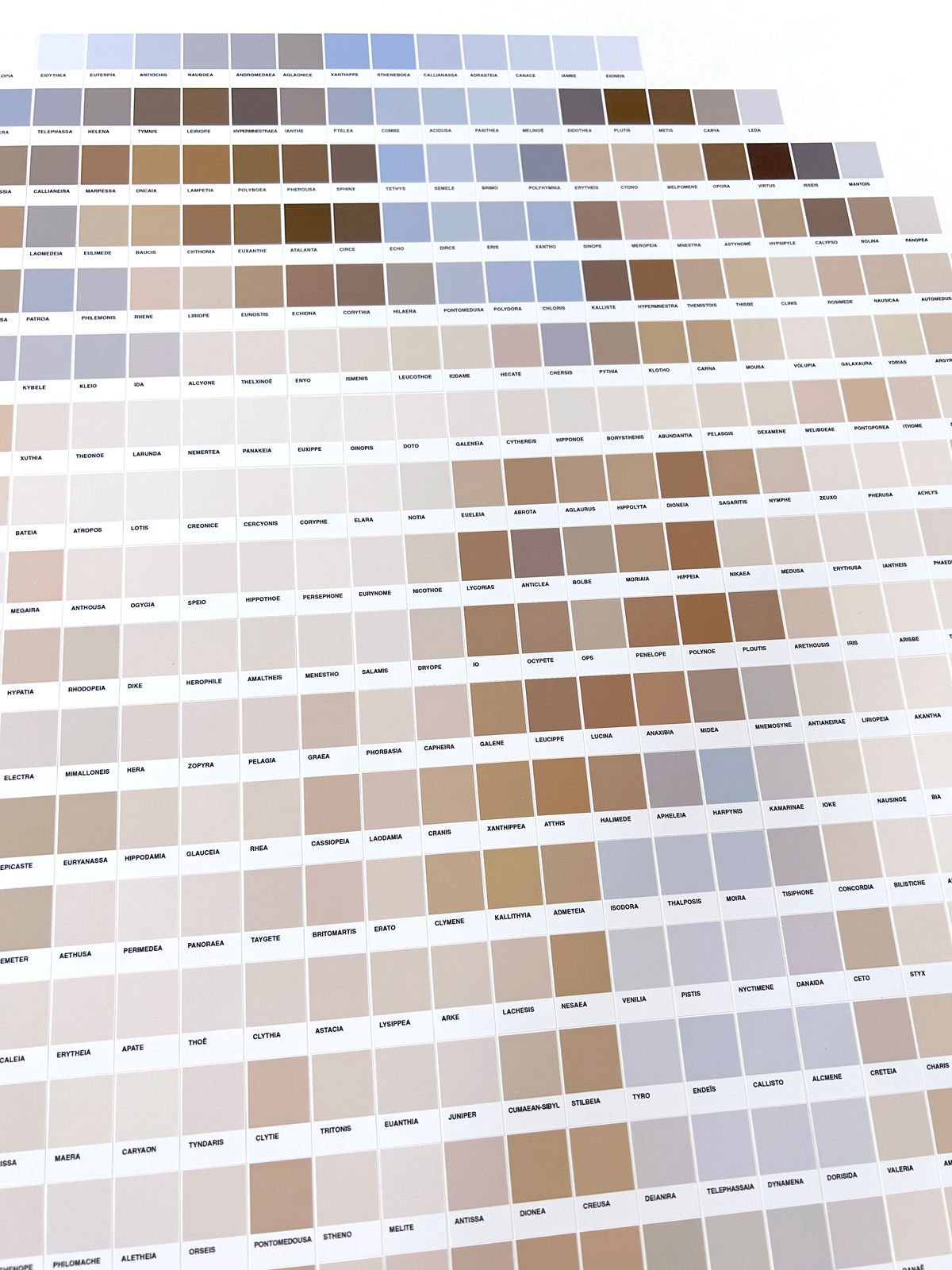 Nick Smith, Splendour, Joy, Bloom, 2025