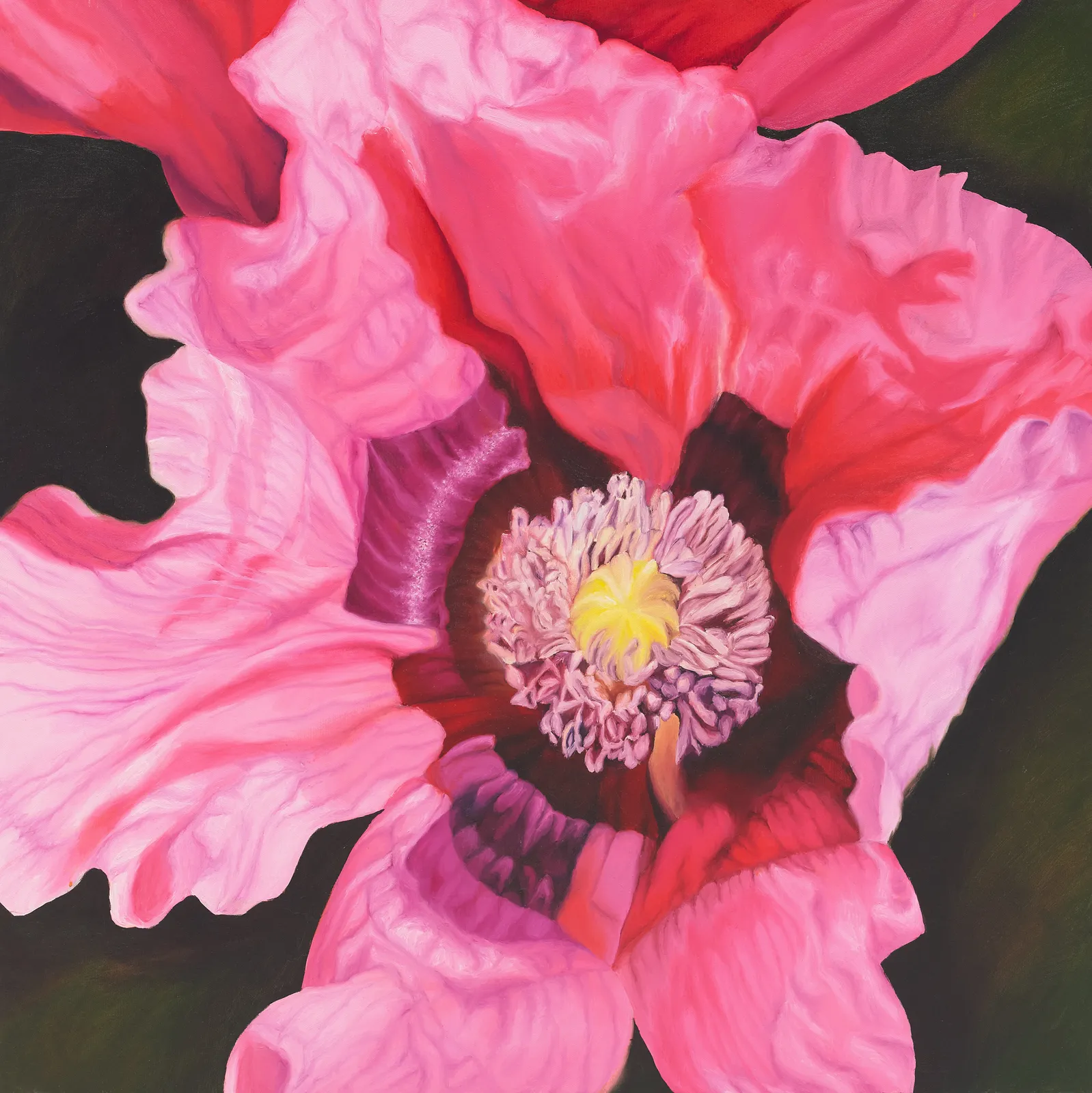 Georgia Michaelides Saad, Papaver somniferum magenta, 2013