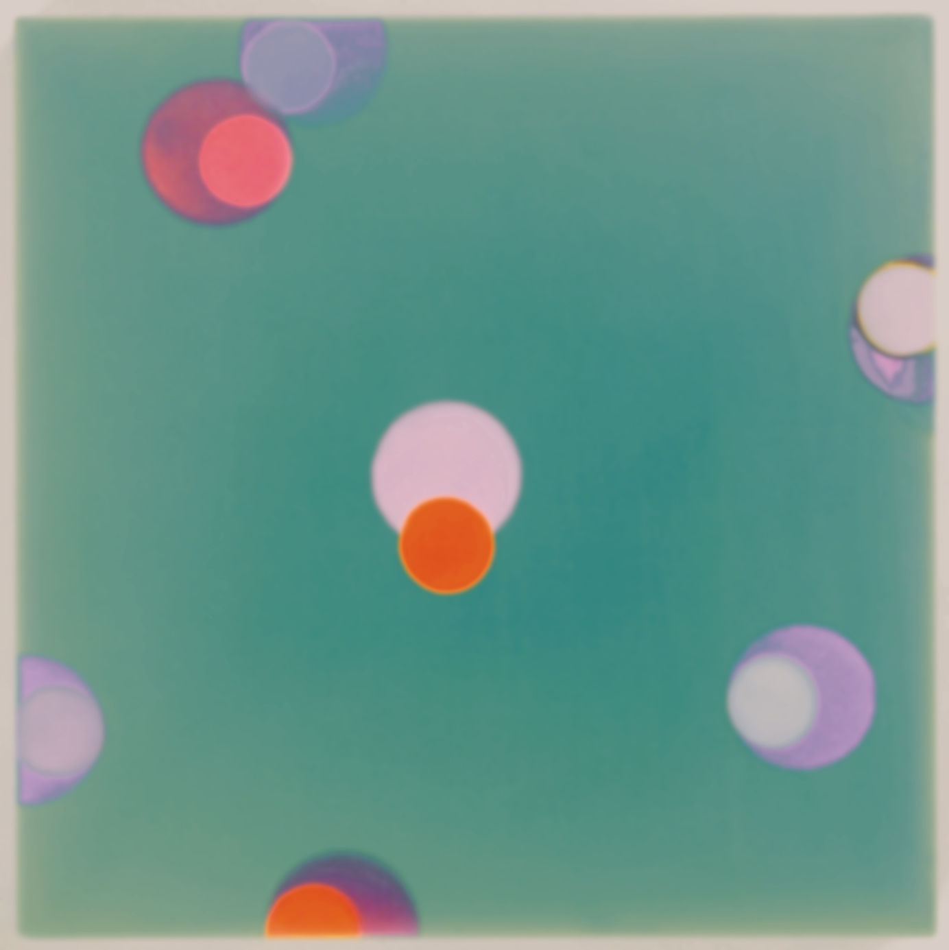 Hester Simpson, Miami, 2004