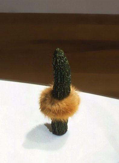 Helen CHADWICK, I Thee Wed, 1993