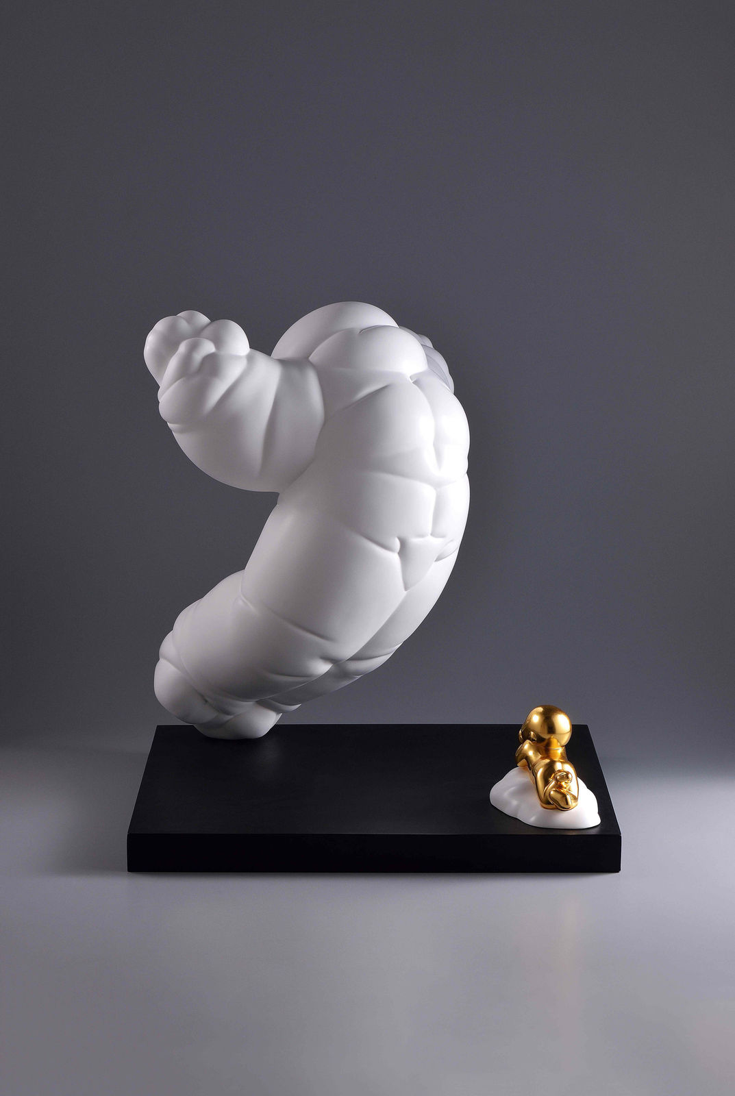 Xun Wang 王尋, Growing Up - Flight of Fantasy 只要我長大 - 想飛, 2023