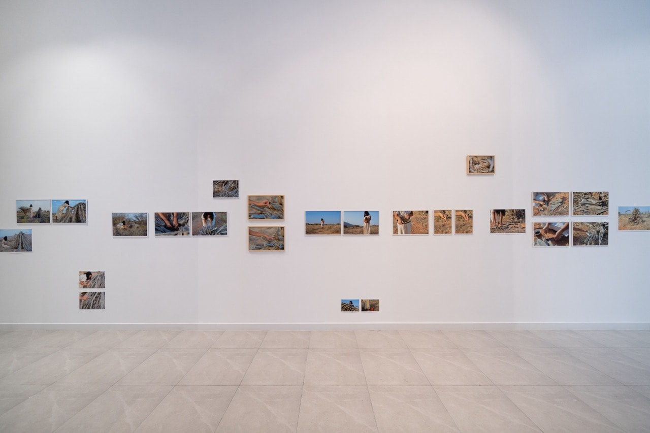 Kim Robertson, Restor(y)ing the Land, 2023