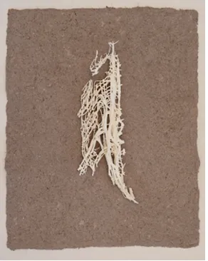 Kim Robertson, Synaptic Roots