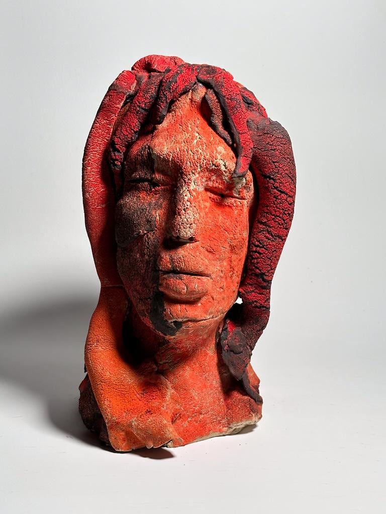 Hasseena Suresh, Faces I have seen, the faces I have been - I, 2023