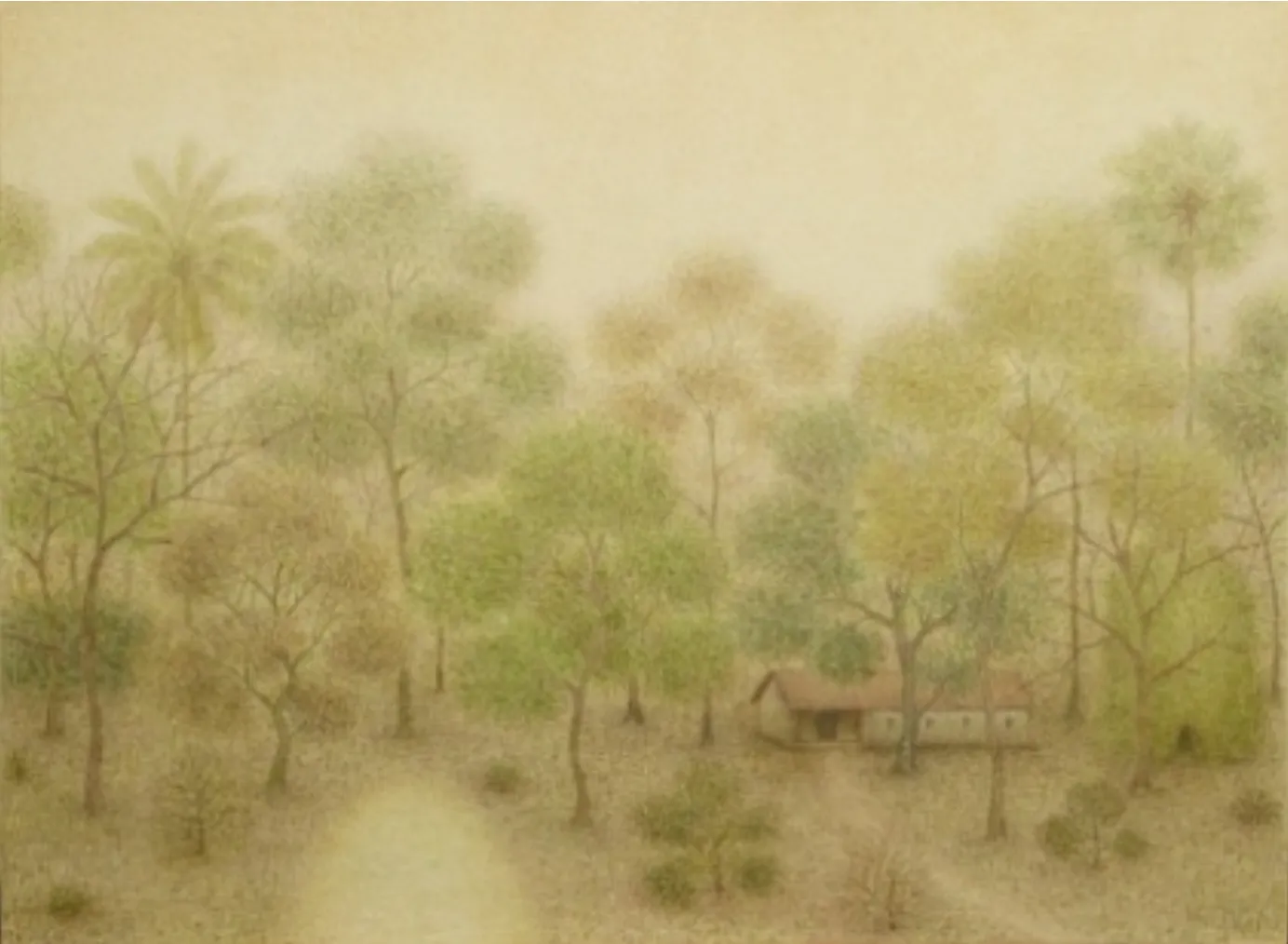 Sanam Narayanan, Untitled