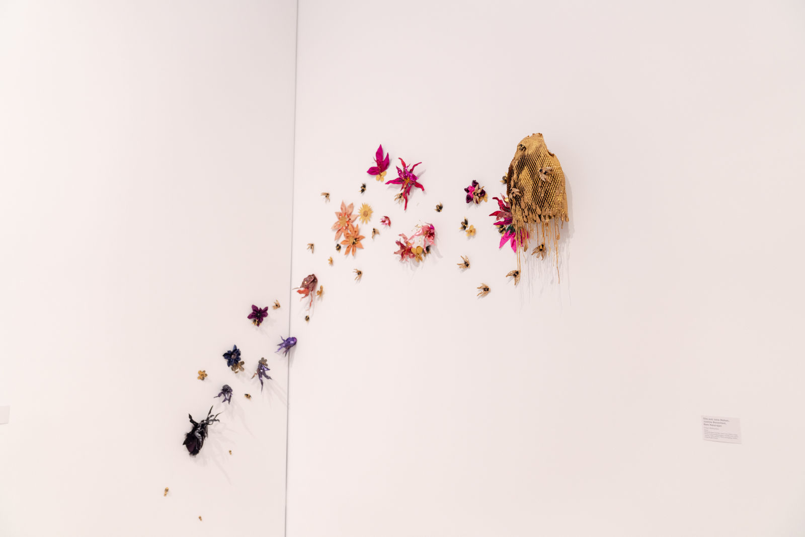 Sita and Julia Mahan, Justine Bonenfant, and Ram Natarajan, Cross-Pollination, 2025