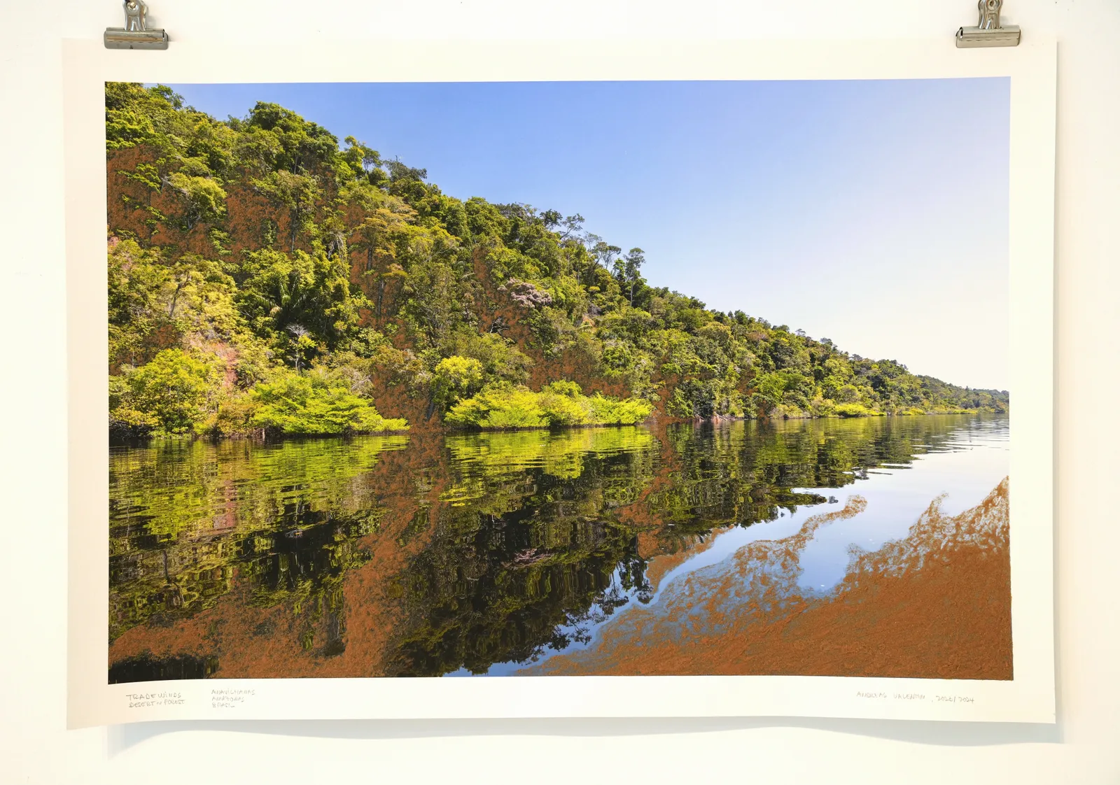 Andreas Valentin, Tradewinds: Desert‹-›Forest, 2023/2025