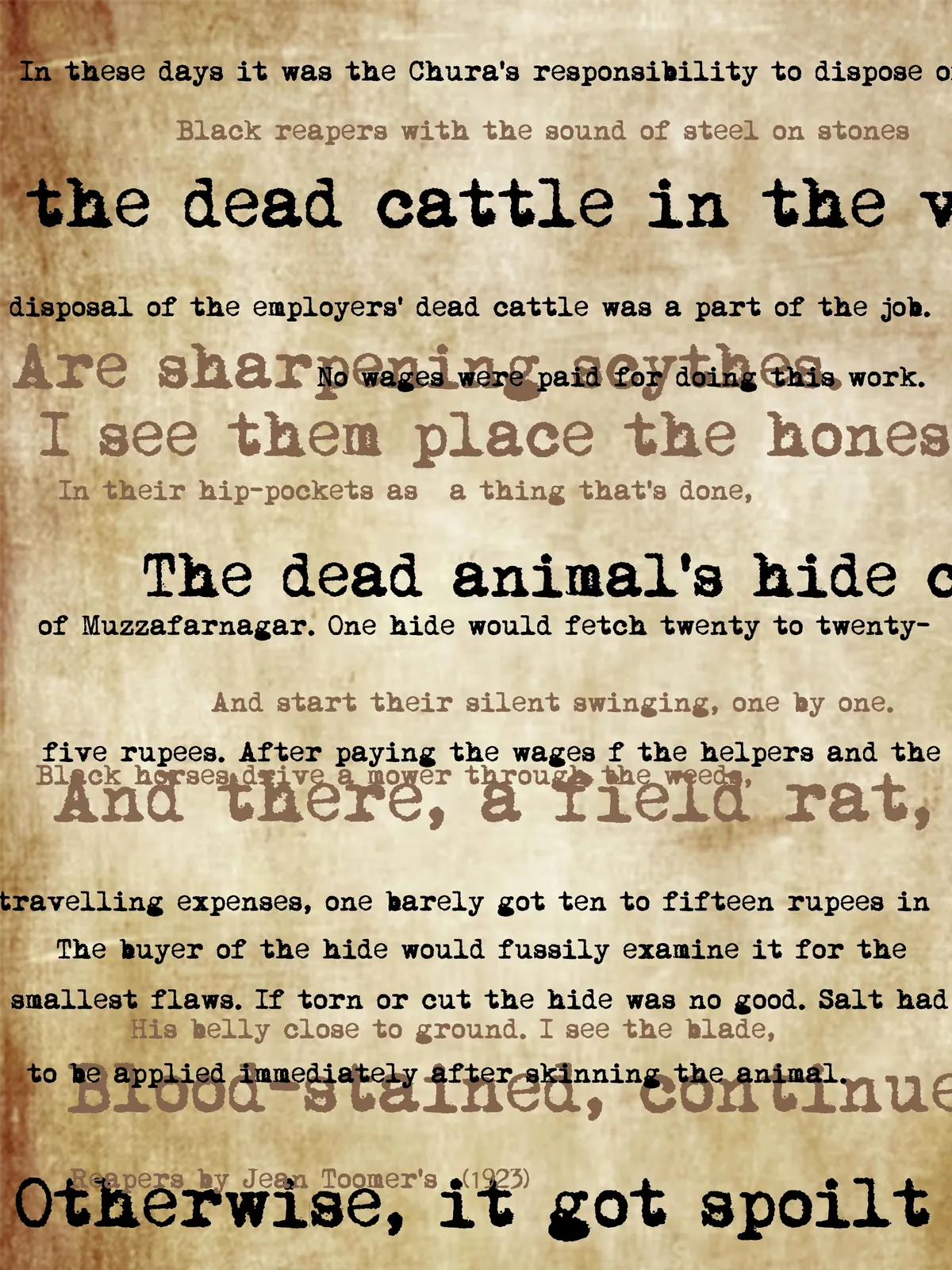 Ravi Agarwal, I am leather II, I am cotton, 2023