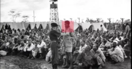 Wambui Kamiru, Cua Cua (Series 2), 2019