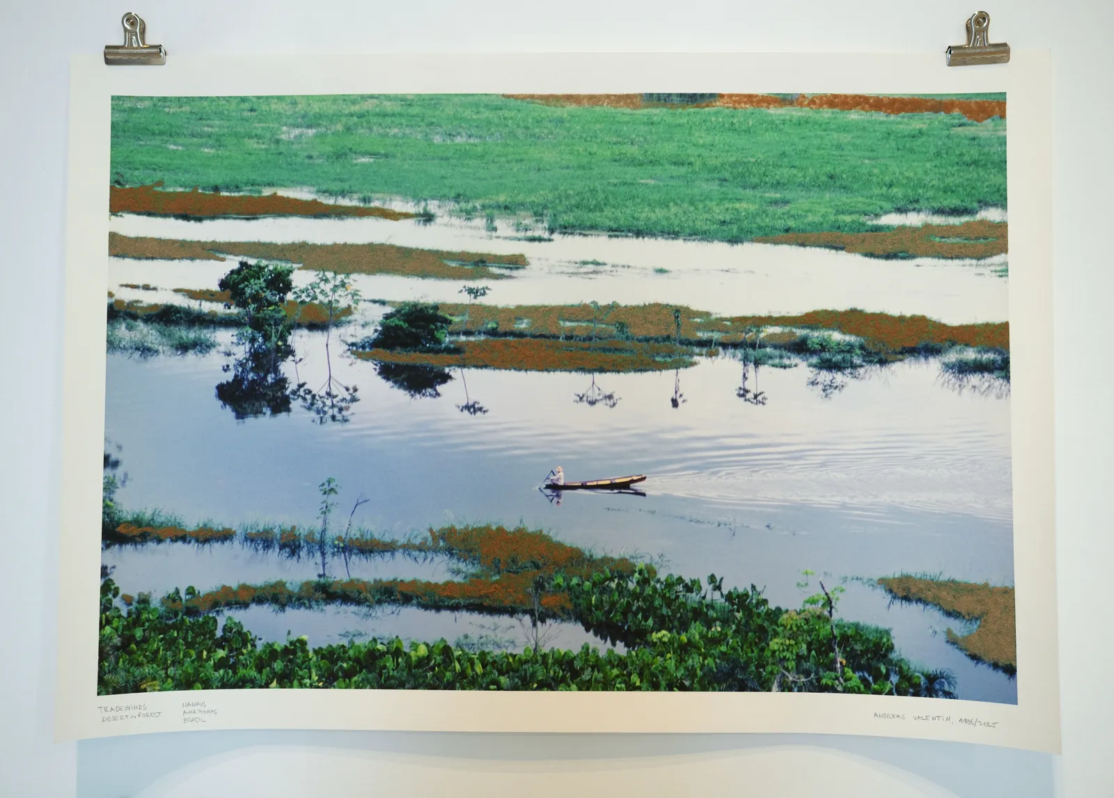 Andreas Valentin, Tradewinds: Desert‹-›Forest, 2023/2025