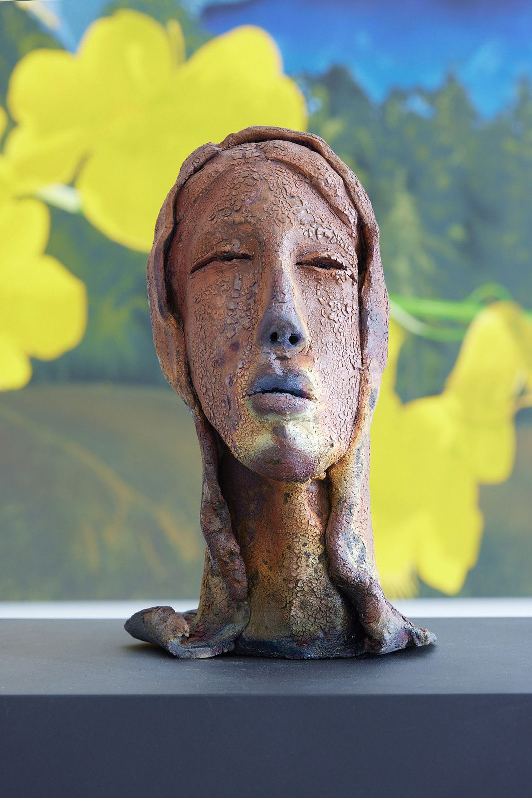 Hasseena Suresh, Faces I have seen, the faces I have been - IV, 2023