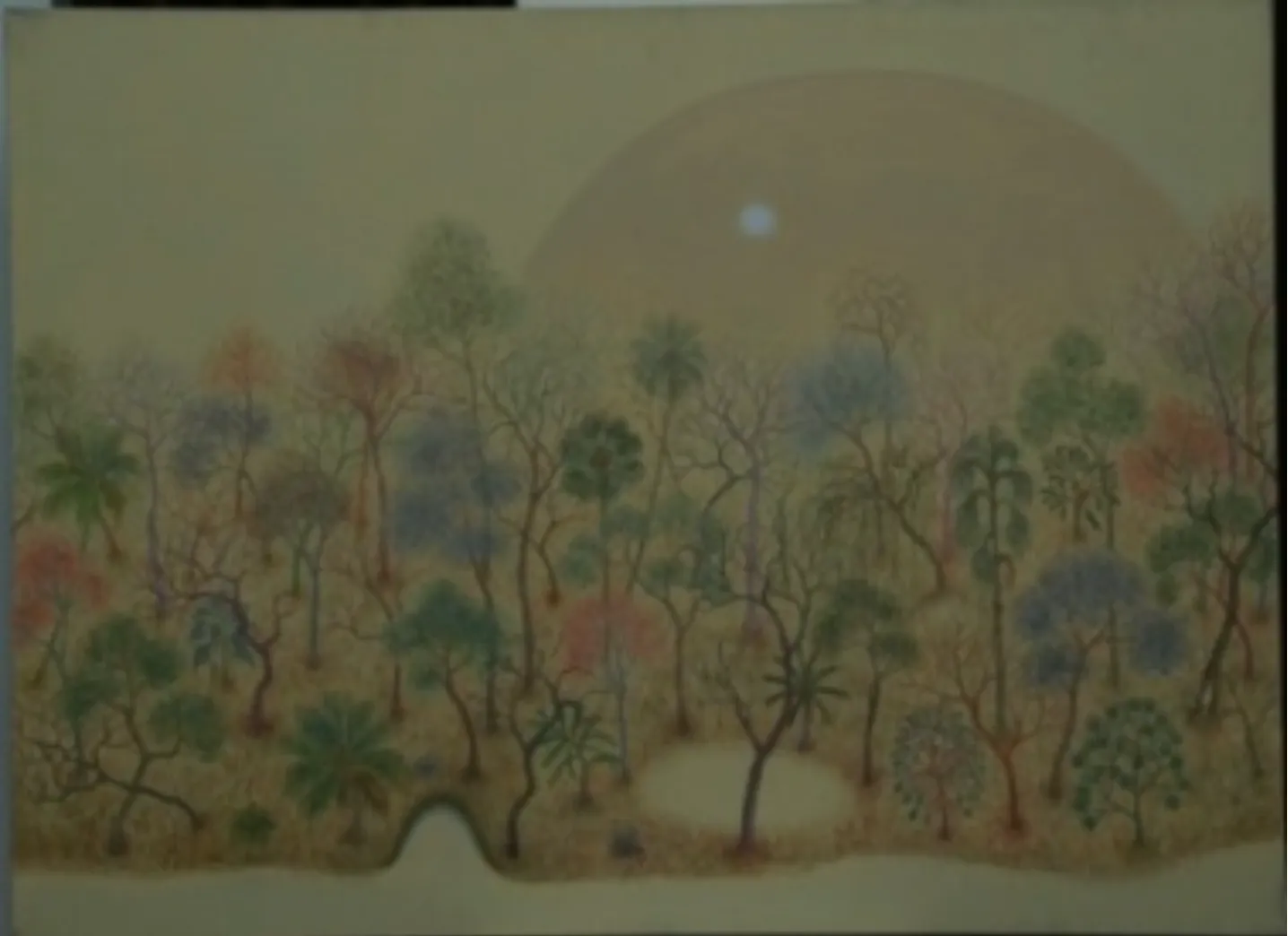 Sanam Narayanan, Untitled