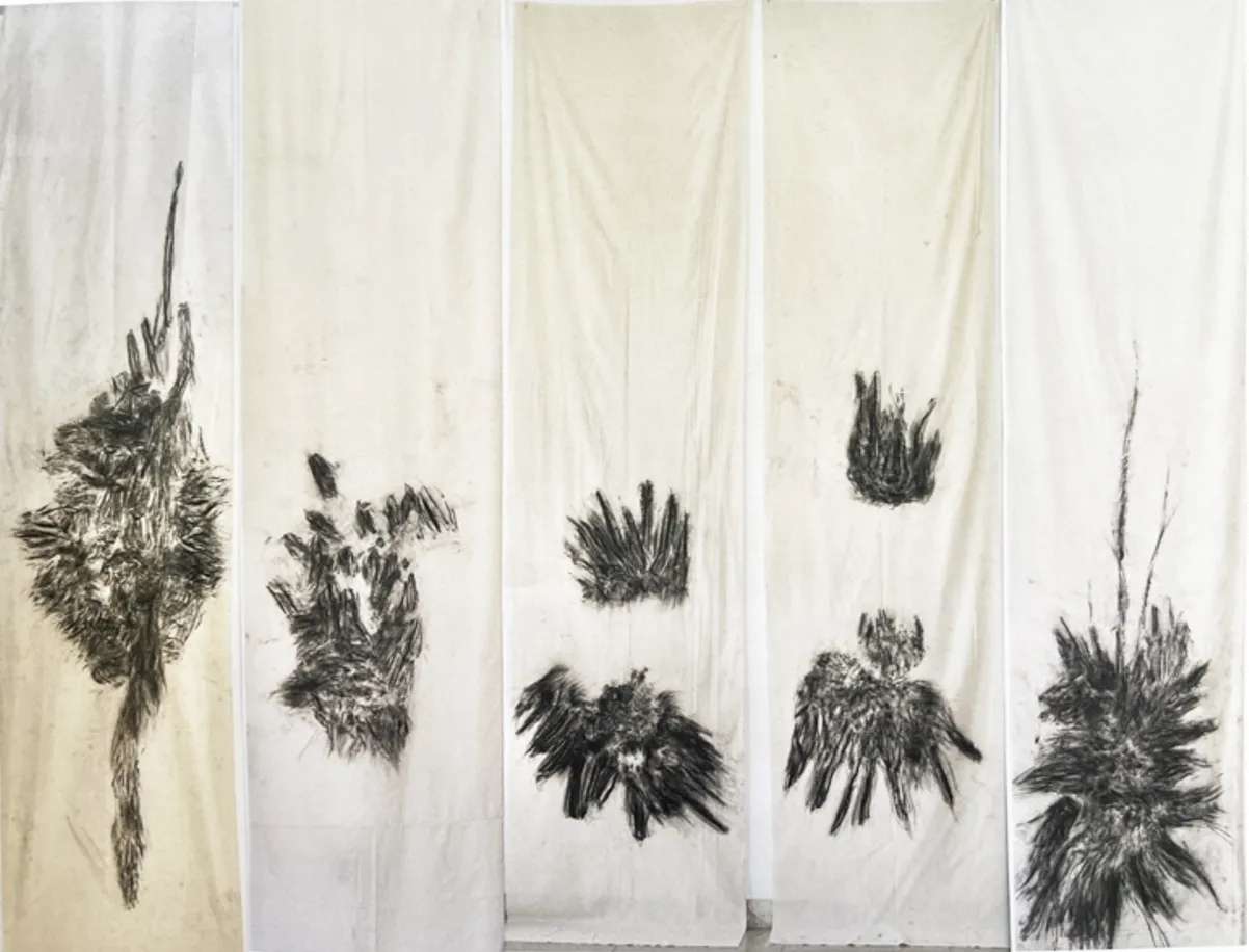 Kim Robertson, Tracing the Elementals, 2023-2025