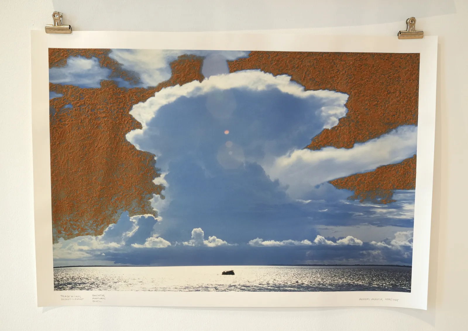 Andreas Valentin, Tradewinds: Desert‹-›Forest, 2023/2025