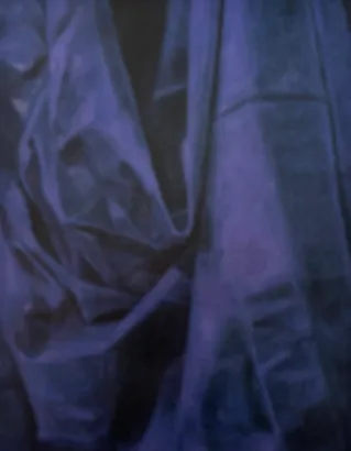 Sibdas Sengupta, Monument of Drapes II, 2024