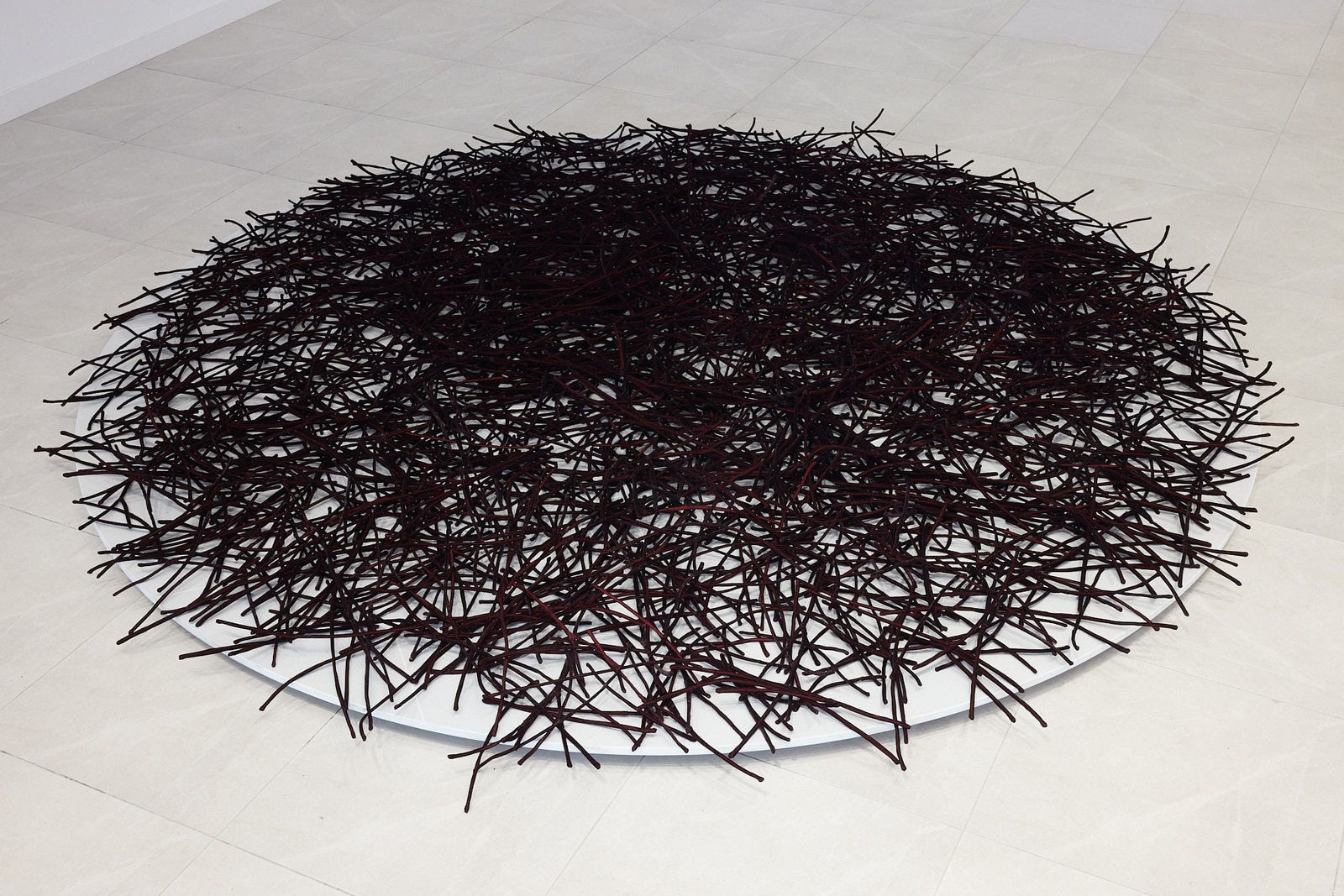 Rakhi Peswani, Becomings, 2022