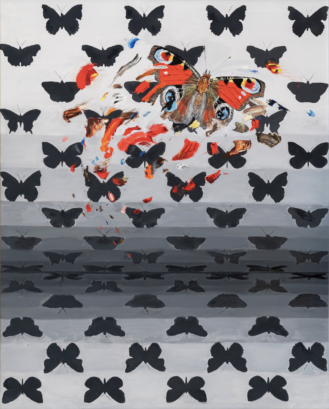 Adrian Scicluna, Peacock, 2019