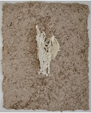 Kim Robertson, Synaptic Roots