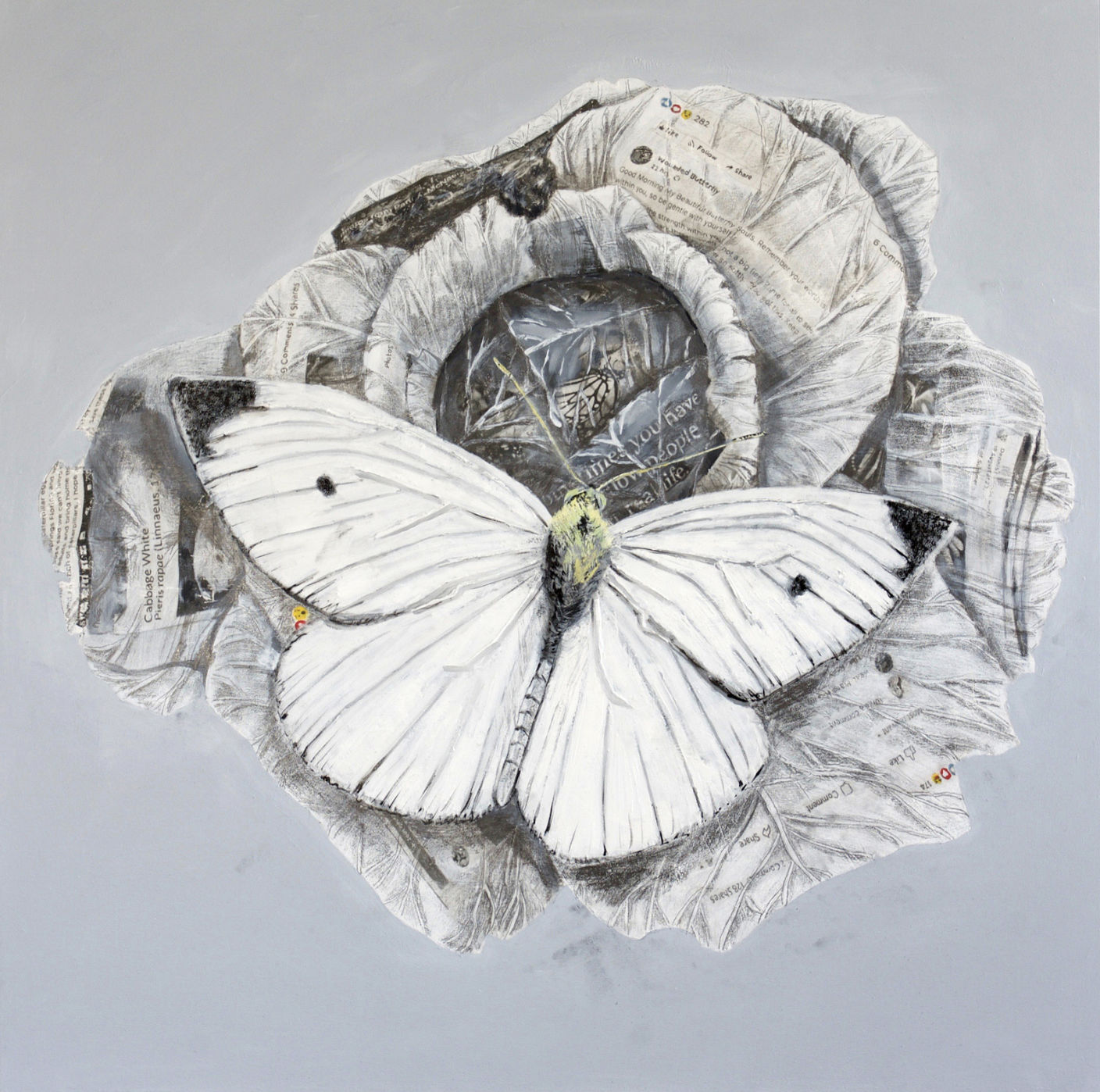 Adrian Scicluna, Cabbage White, 2018