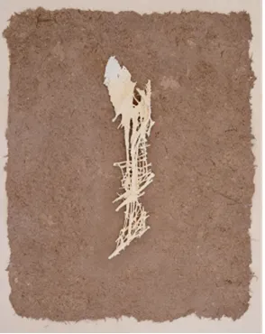 Kim Robertson, Synaptic Roots