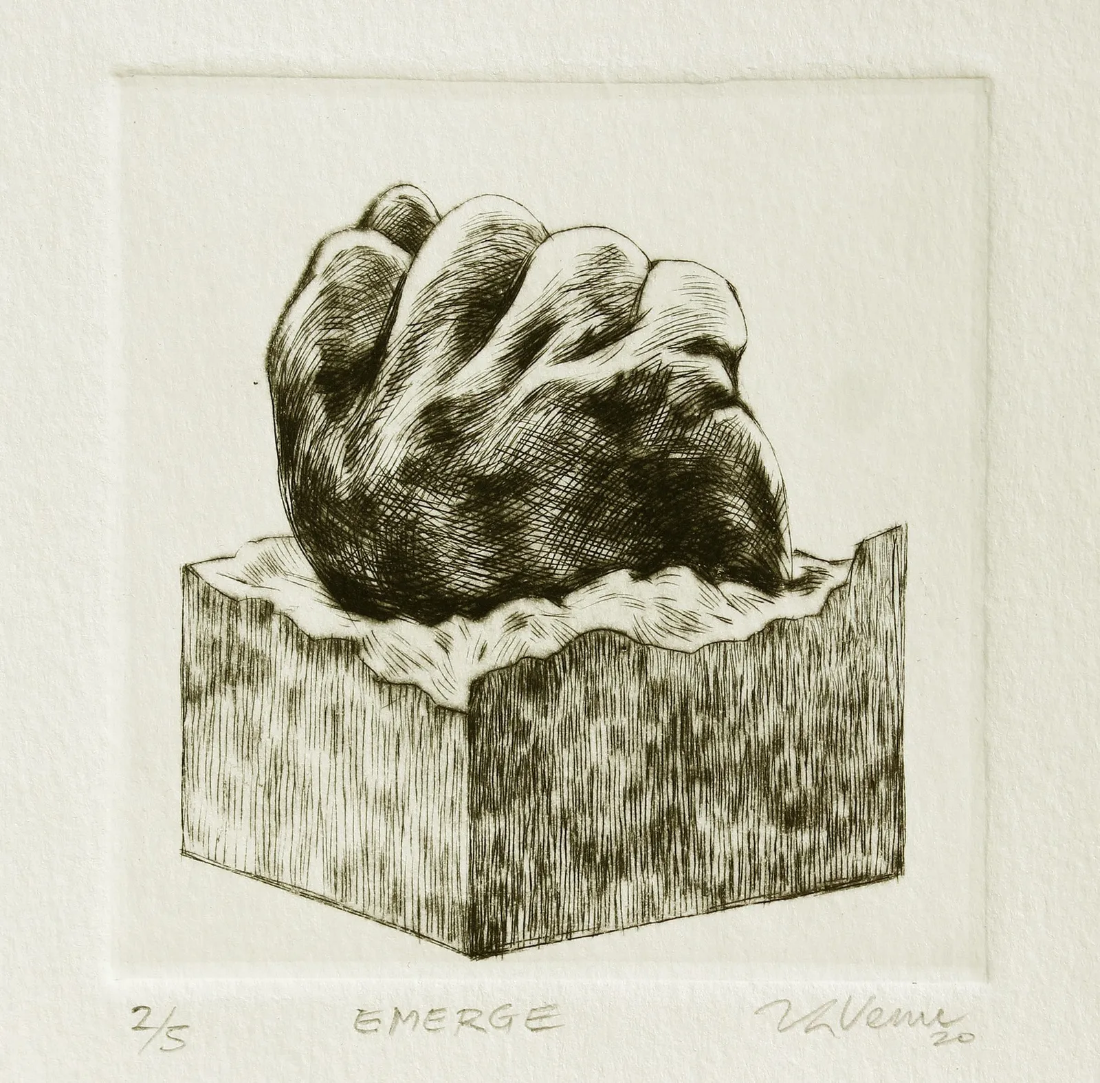 VG Venugopal, Emerge, Edition of 5, 2024