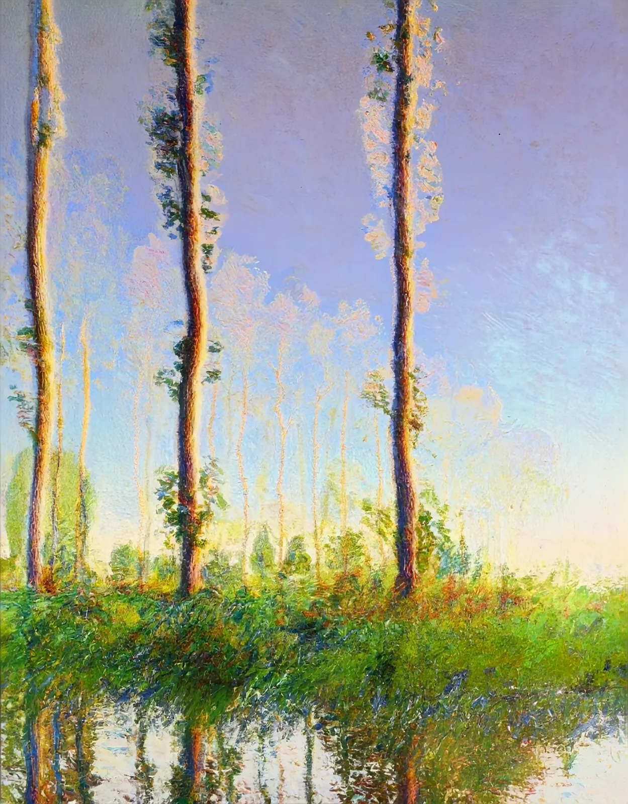 Rob and Nick Carter, Transforming Poplars, 2025